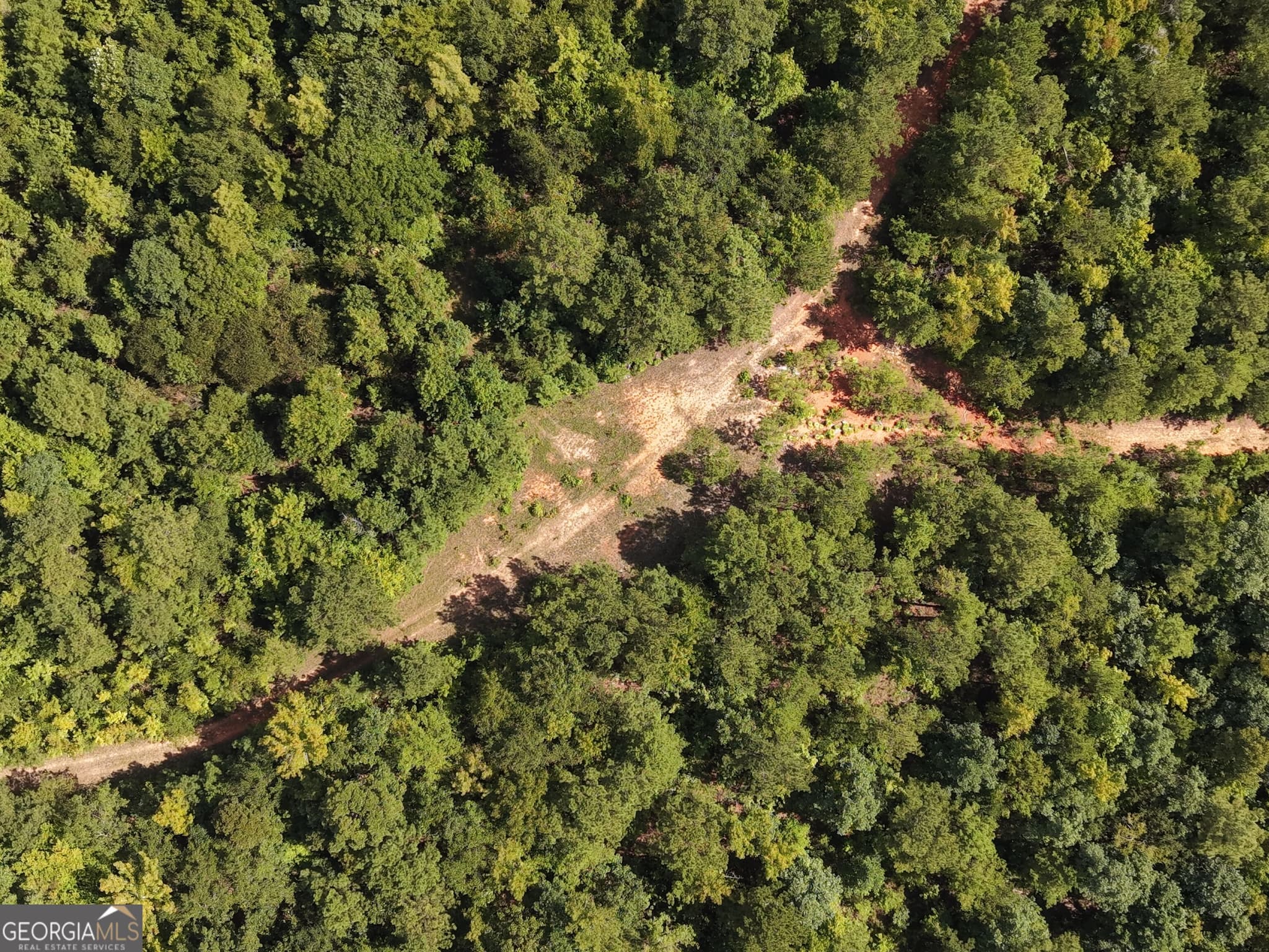 unimproved land for sale at 490 Sparta Highway, Milledgeville, GA 31061 — photo 4