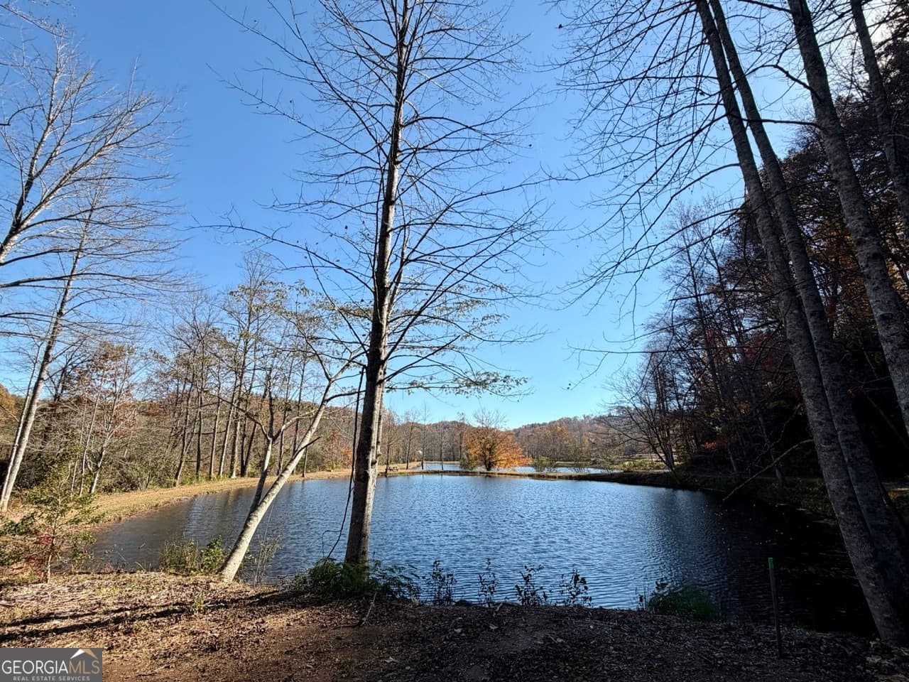 4 bedroom, 3.5 bathroom, 3,231 sq ft single family residence for sale at 155 Waters Edge Lane, Clarkesville, GA 30523 — photo 9