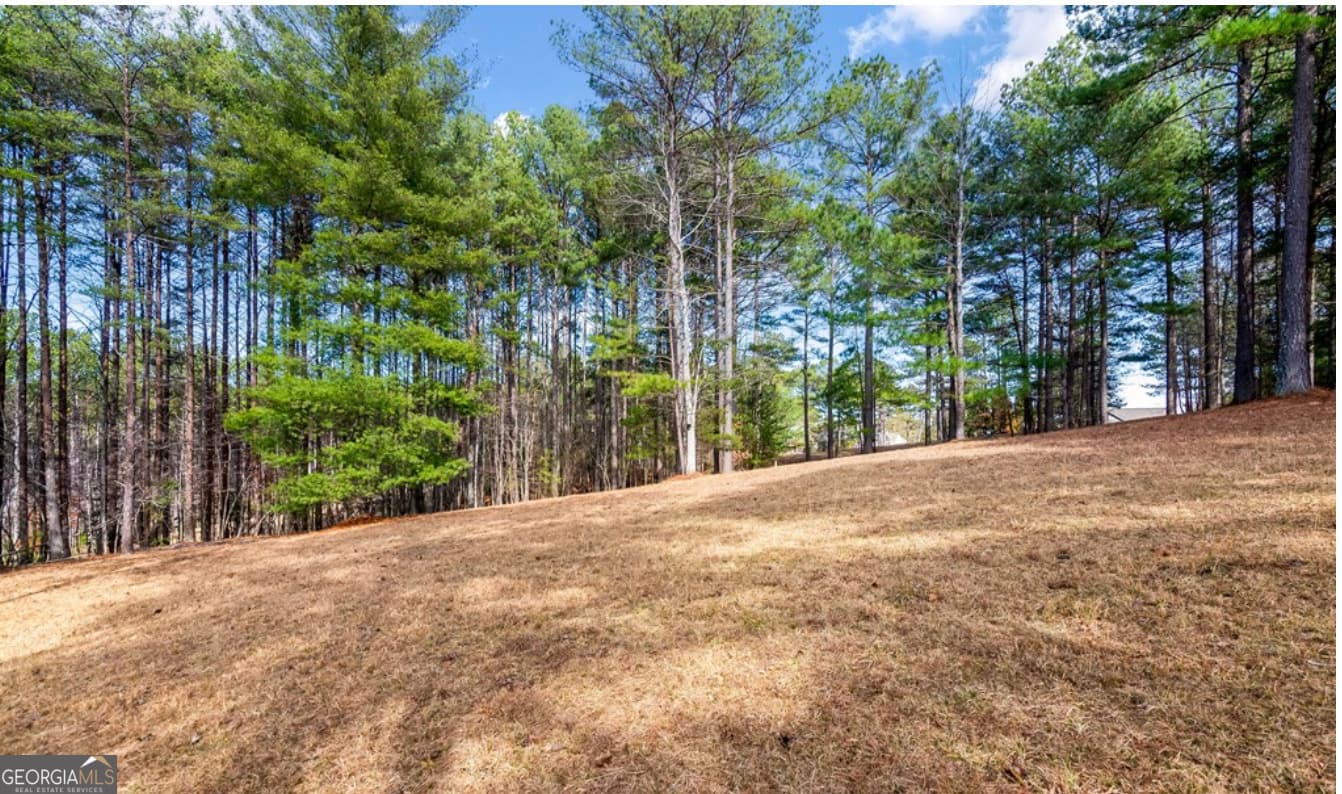 residential lot for sale at LOT 87 CREEK HOLLOW Lane, Blairsville, GA 30512 — photo 2