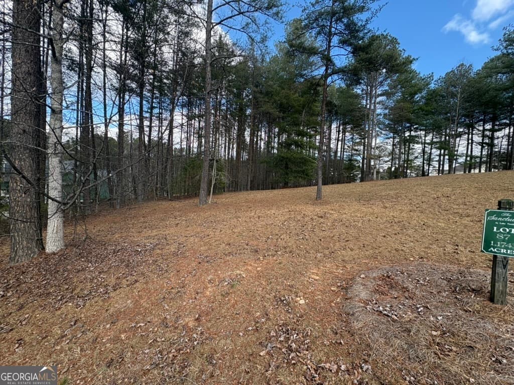 residential lot for sale at LOT 87 CREEK HOLLOW Lane, Blairsville, GA 30512 — photo 6
