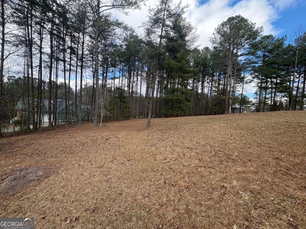 residential lot for sale at LOT 87 CREEK HOLLOW Lane, Blairsville, GA 30512 — photo 7