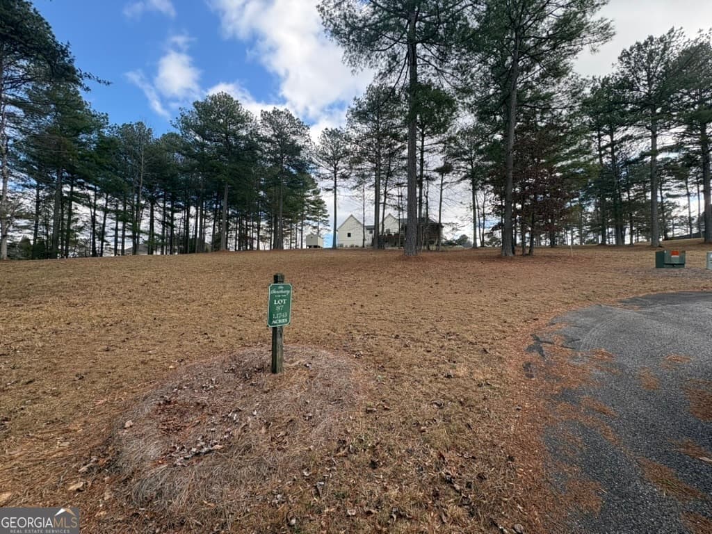 residential lot for sale at LOT 87 CREEK HOLLOW Lane, Blairsville, GA 30512 — photo 3