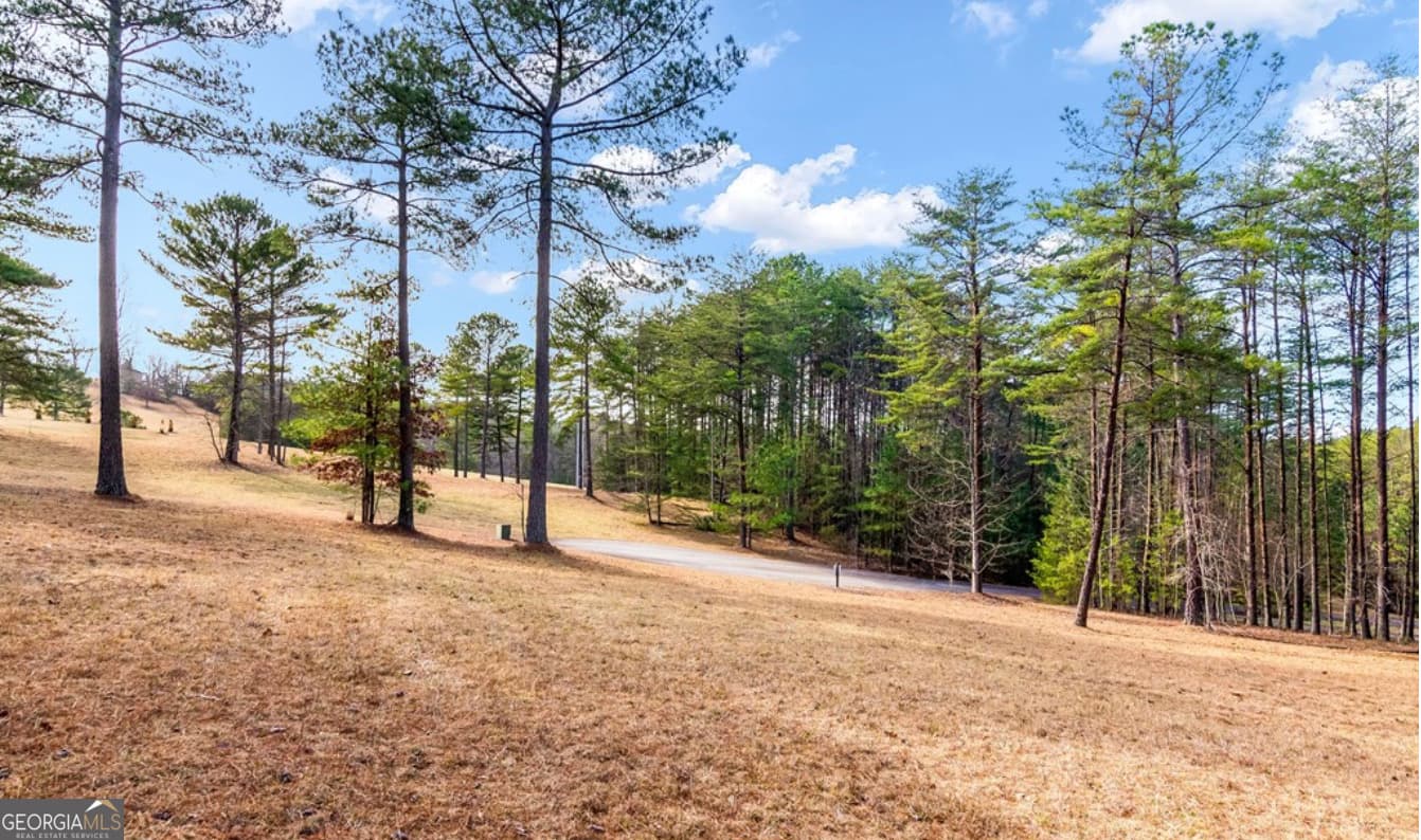 residential lot for sale at LOT 87 CREEK HOLLOW Lane, Blairsville, GA 30512 — photo 1 of 9