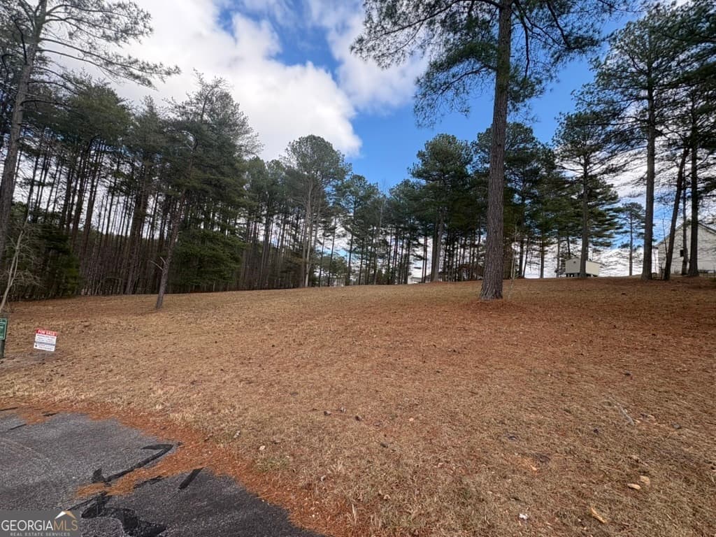 residential lot for sale at LOT 87 CREEK HOLLOW Lane, Blairsville, GA 30512 — photo 5