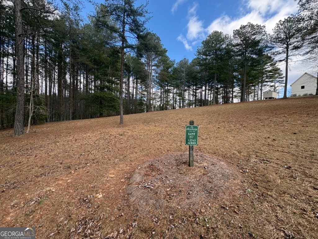 residential lot for sale at LOT 87 CREEK HOLLOW Lane, Blairsville, GA 30512 — photo 4