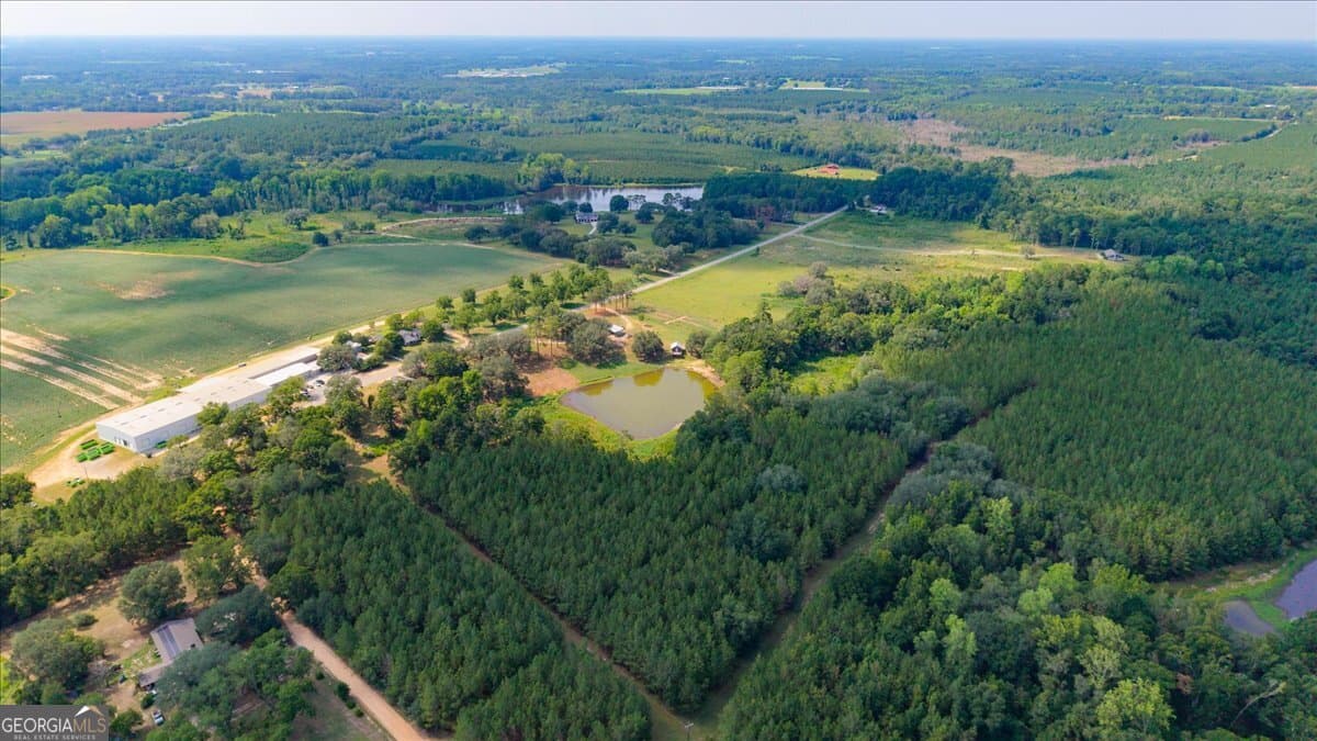 agriculture for sale at 45 Nease Road, Glennville, GA 30427 — photo 2
