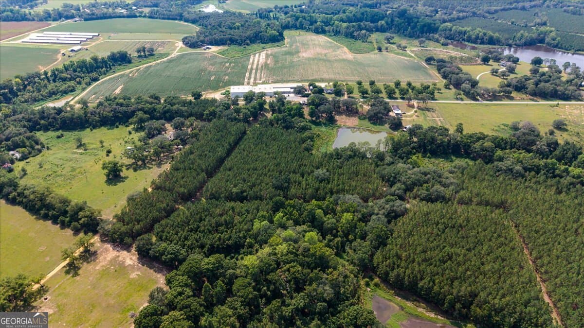 agriculture for sale at 45 Nease Road, Glennville, GA 30427 — photo 3