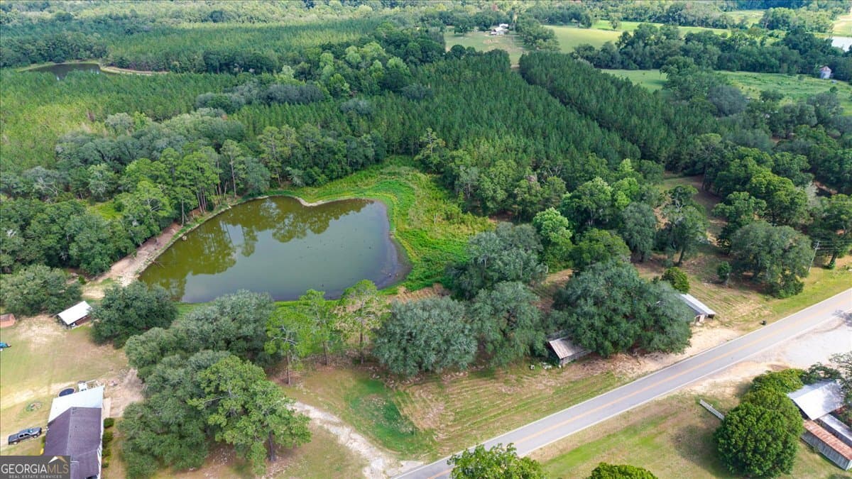 agriculture for sale at 45 Nease Road, Glennville, GA 30427
