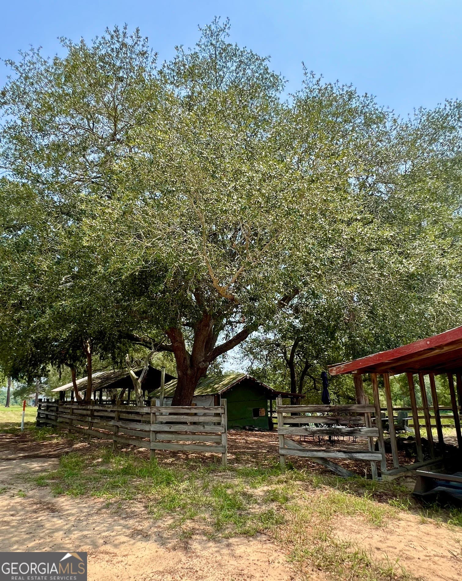 agriculture for sale at 45 Nease Road, Glennville, GA 30427 — photo 5