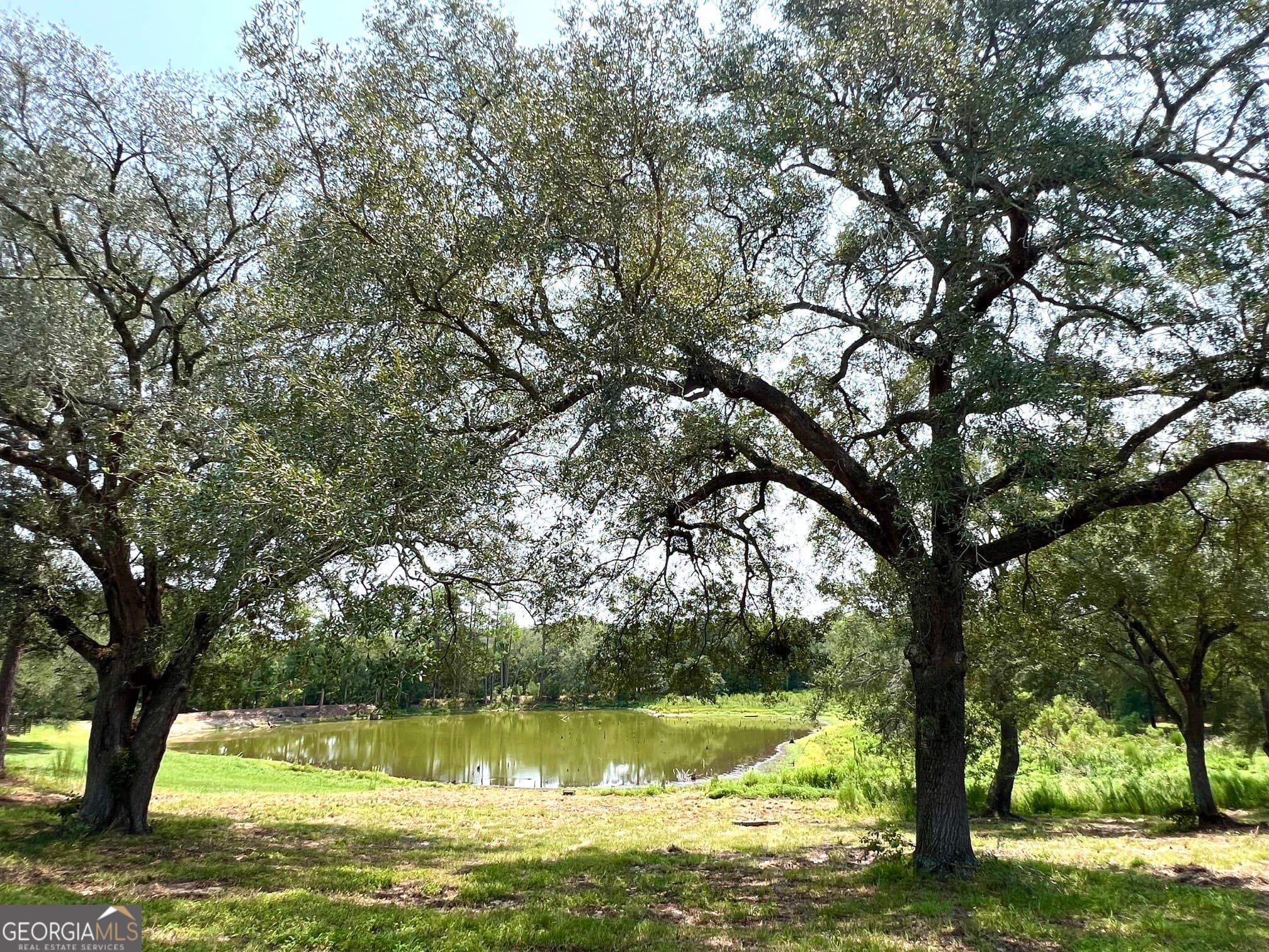 agriculture for sale at 45 Nease Road, Glennville, GA 30427 — photo 4