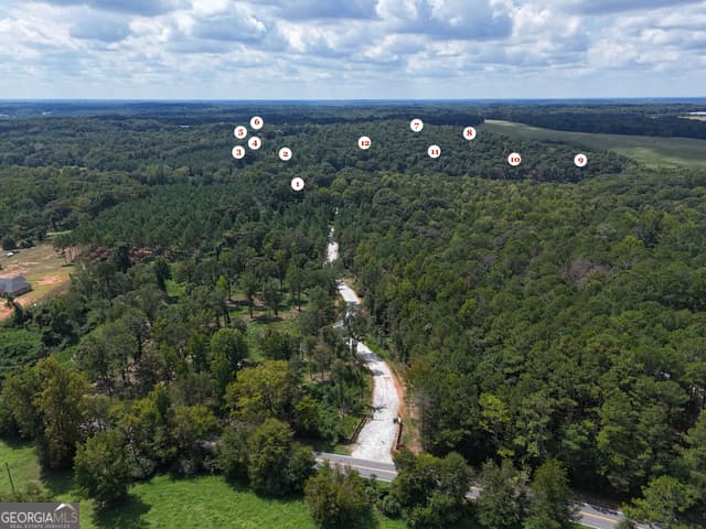 agriculture for sale at 0 Sanford Oak Court TRACT 12, Nicholson, GA 30565 — photo 2