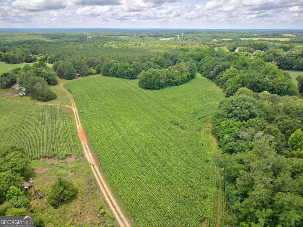 agriculture for sale at 0 Marks Road, Mansfield, GA 30055 — photo 7