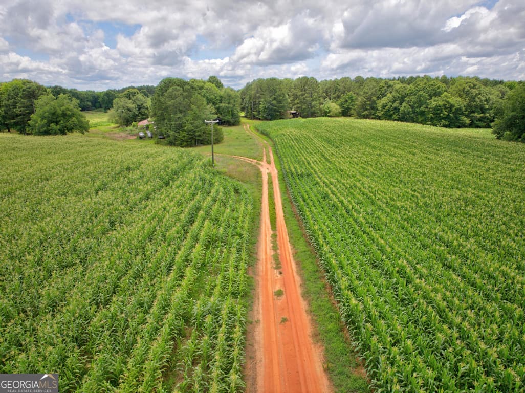 agriculture for sale at 0 Marks Road, Mansfield, GA 30055 — photo 10