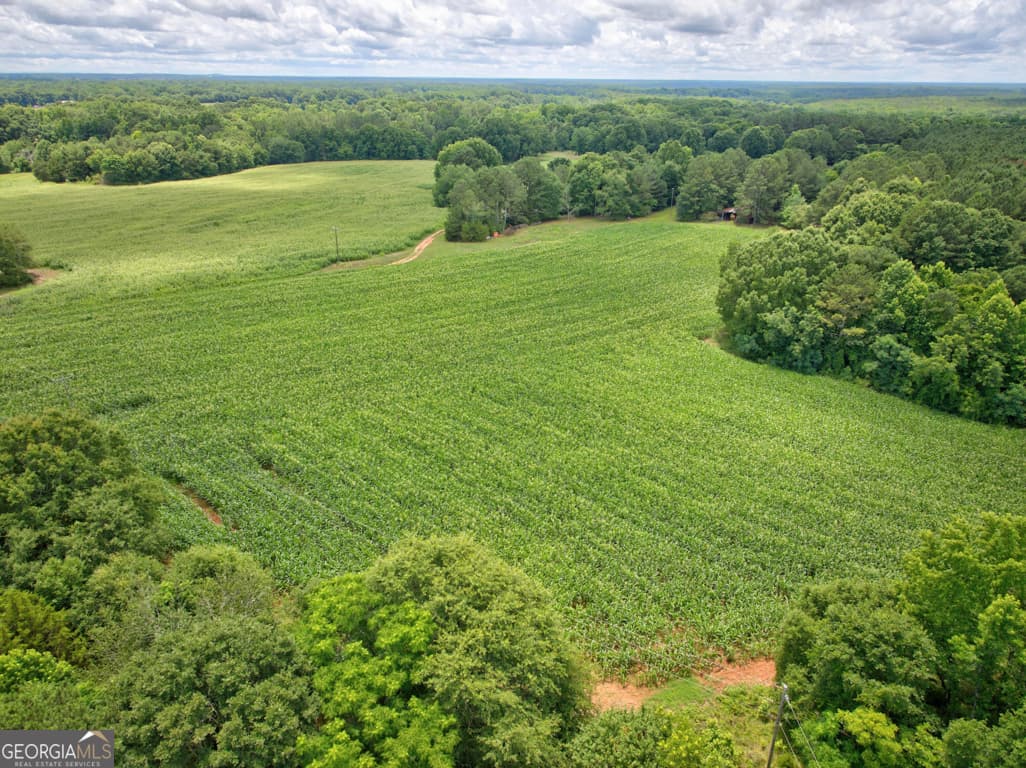 agriculture for sale at 0 Marks Road, Mansfield, GA 30055 — photo 8