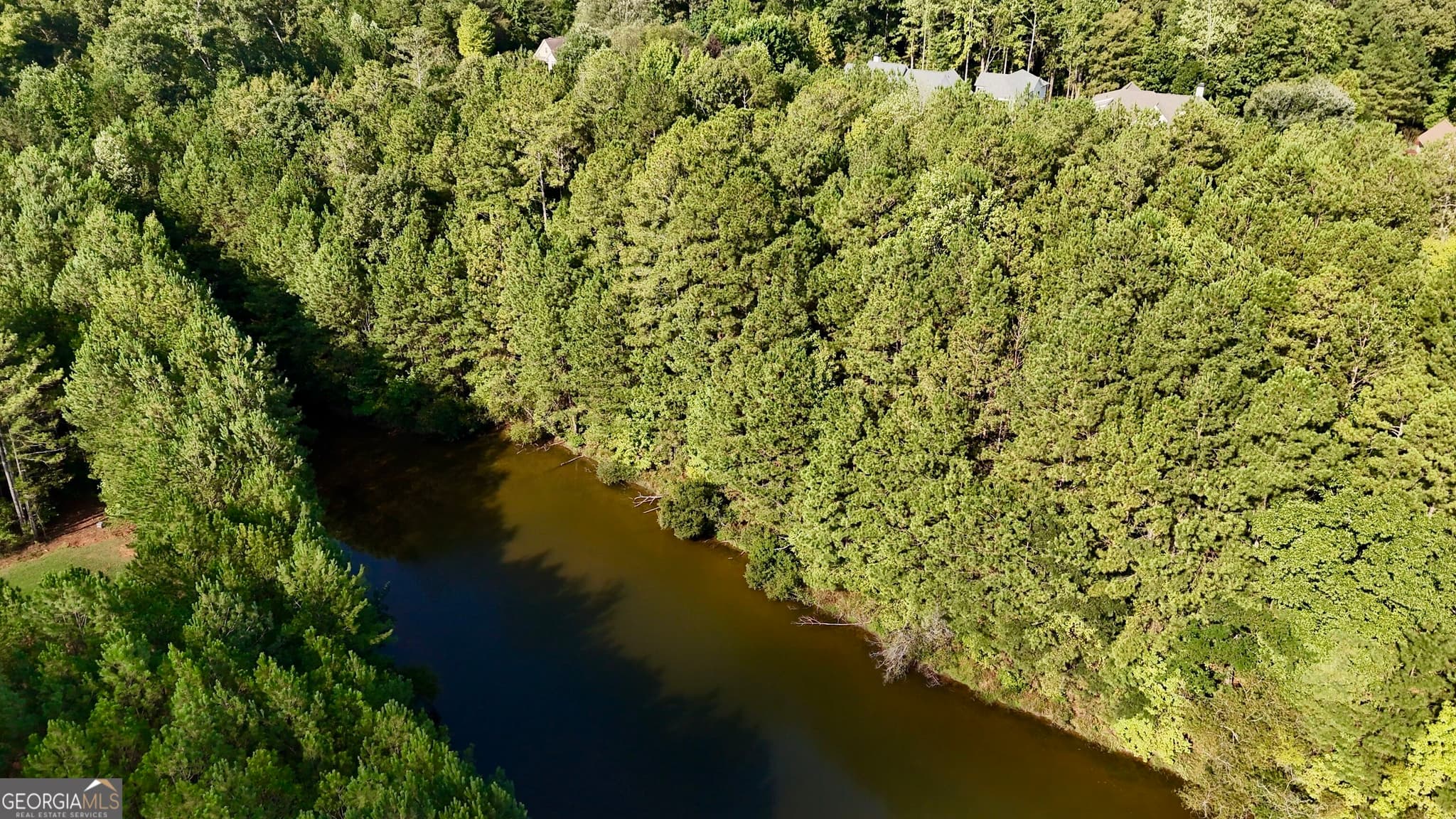 unimproved land for sale at 117 Rivers Edge, Forsyth, GA 31029 — photo 7