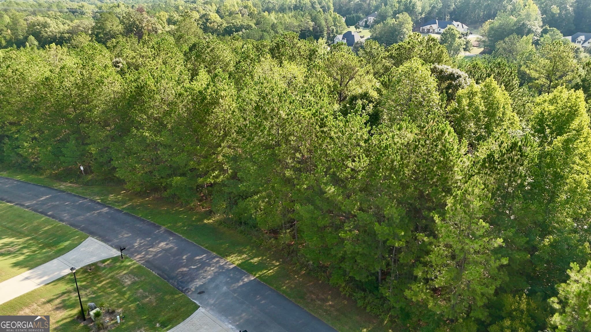 unimproved land for sale at 117 Rivers Edge, Forsyth, GA 31029 — photo 9