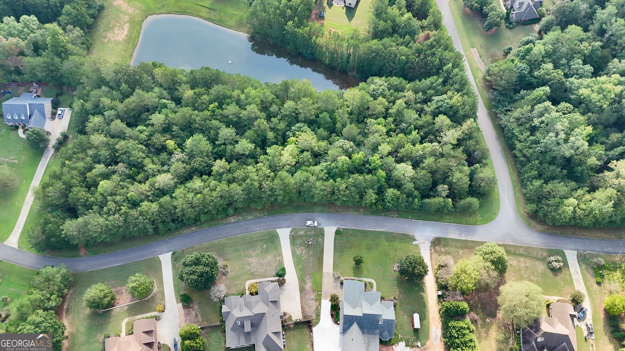 unimproved land for sale at 117 Rivers Edge, Forsyth, GA 31029 — photo 4
