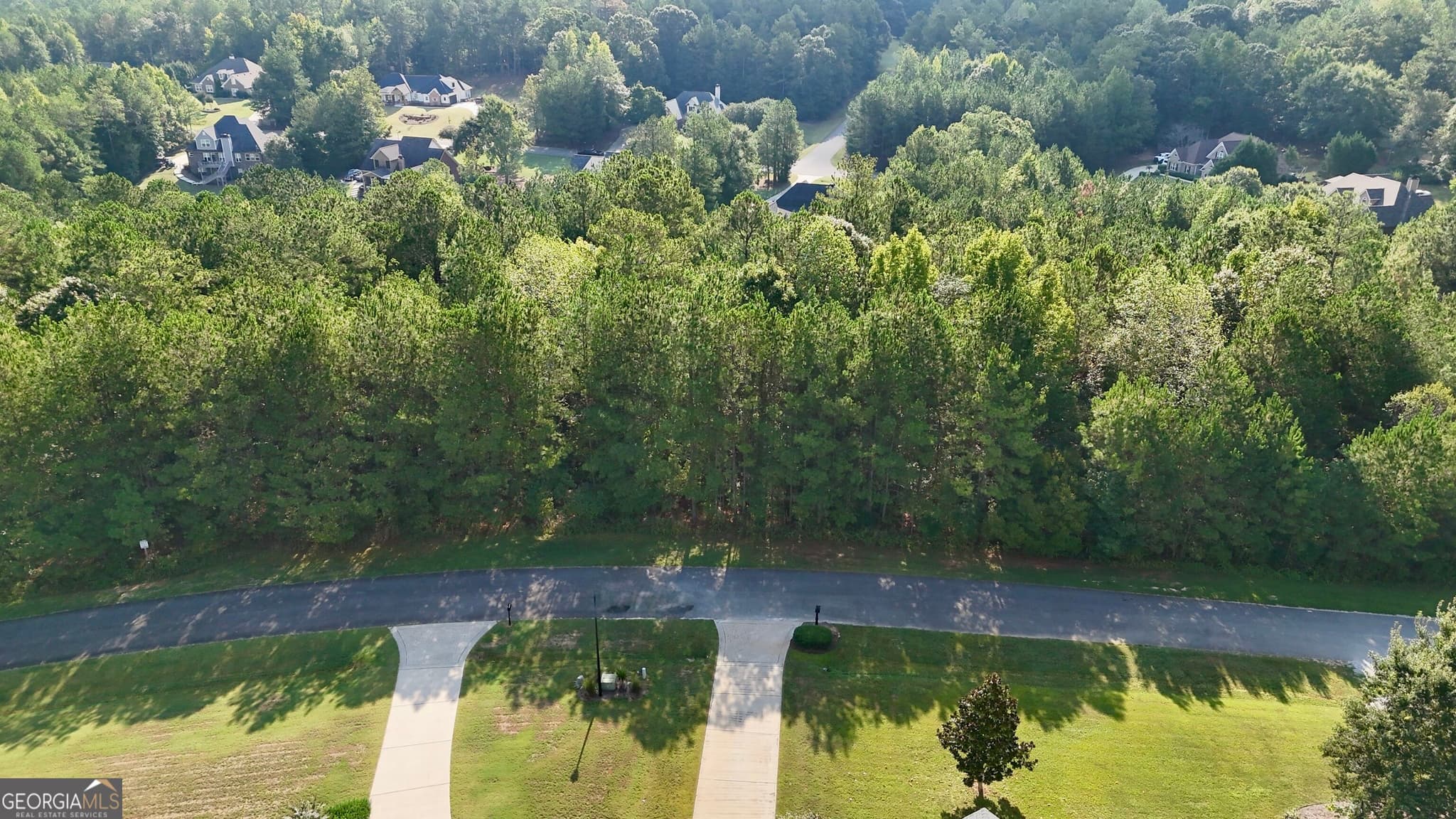 unimproved land for sale at 117 Rivers Edge, Forsyth, GA 31029 — photo 8