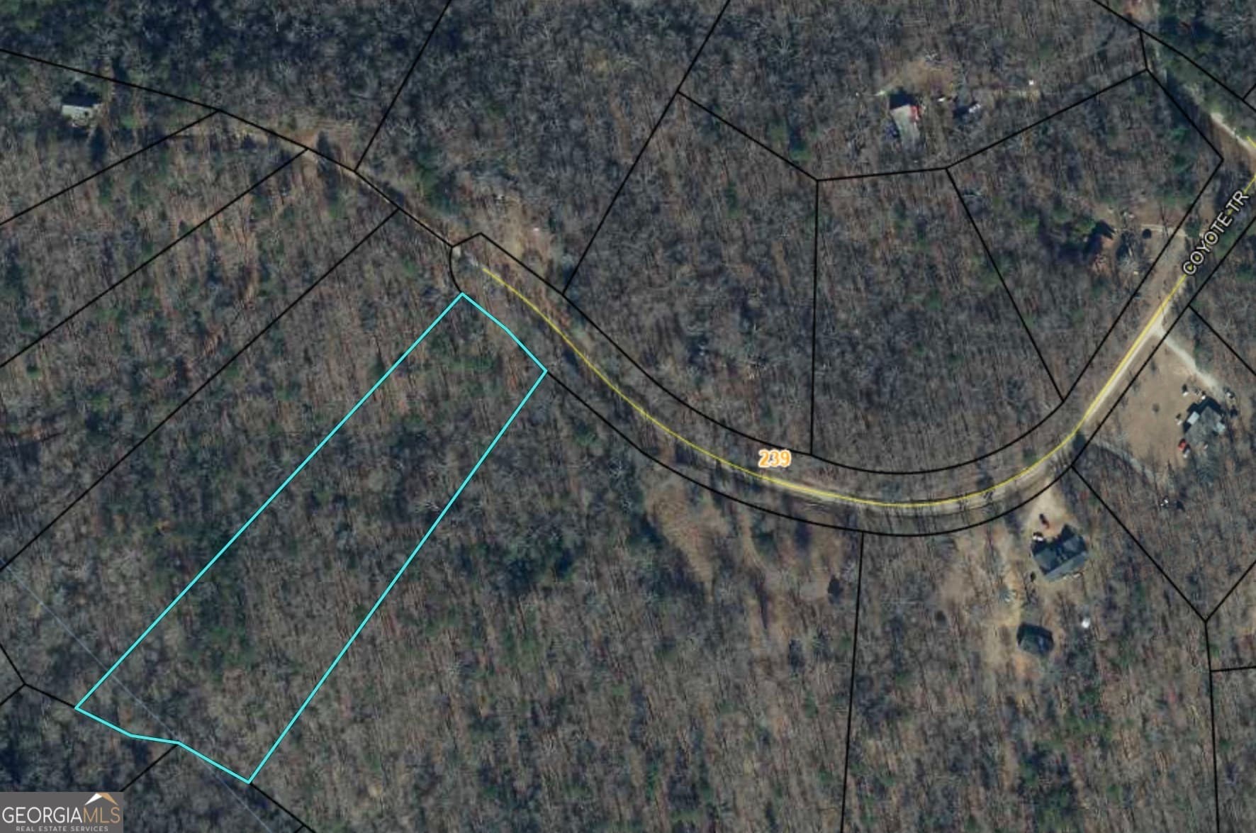 unimproved land for sale at 142 COYOTE Trail, Waco, GA 30182 — photo 2
