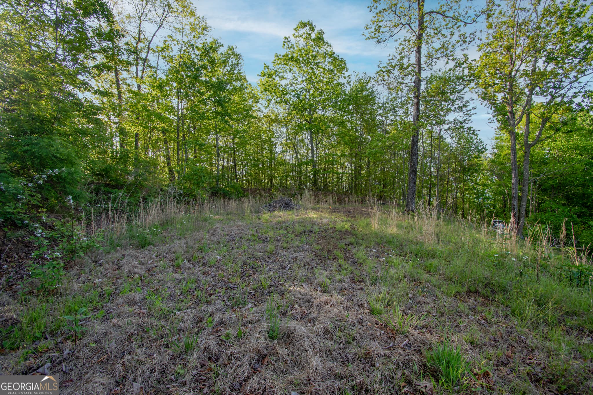 residential lot for sale at 43/44 Timberwood Mountain Estates, Marble, NC 28905 — photo 6