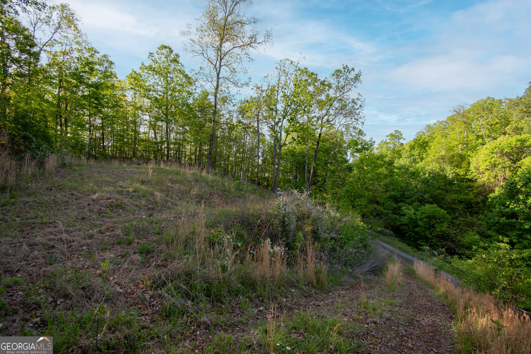 residential lot for sale at 43/44 Timberwood Mountain Estates, Marble, NC 28905 — photo 5