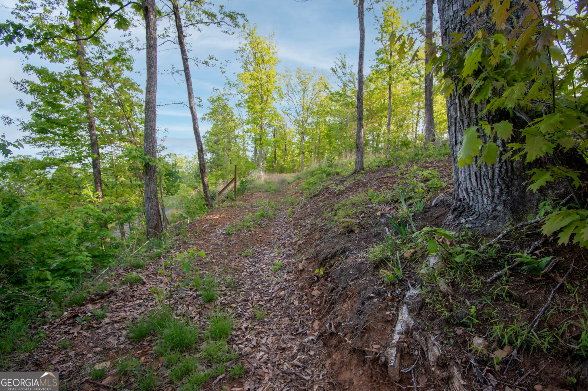 residential lot for sale at 43/44 Timberwood Mountain Estates, Marble, NC 28905 — photo 4