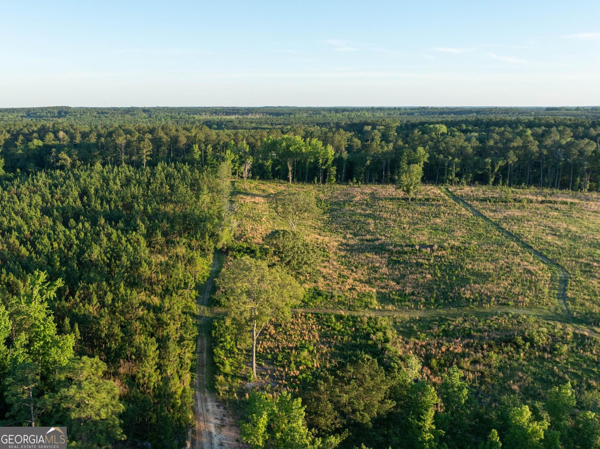 agriculture for sale at 005 Beulah Road TRACT 5, Sylvania, GA 30467 — photo 2