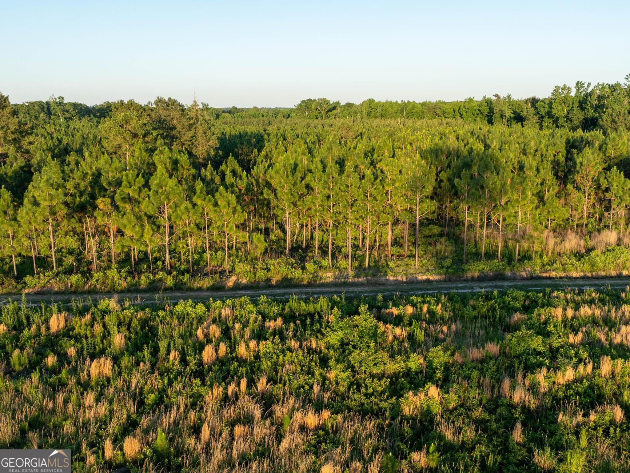 agriculture for sale at 005 Beulah Road TRACT 5, Sylvania, GA 30467 — photo 7