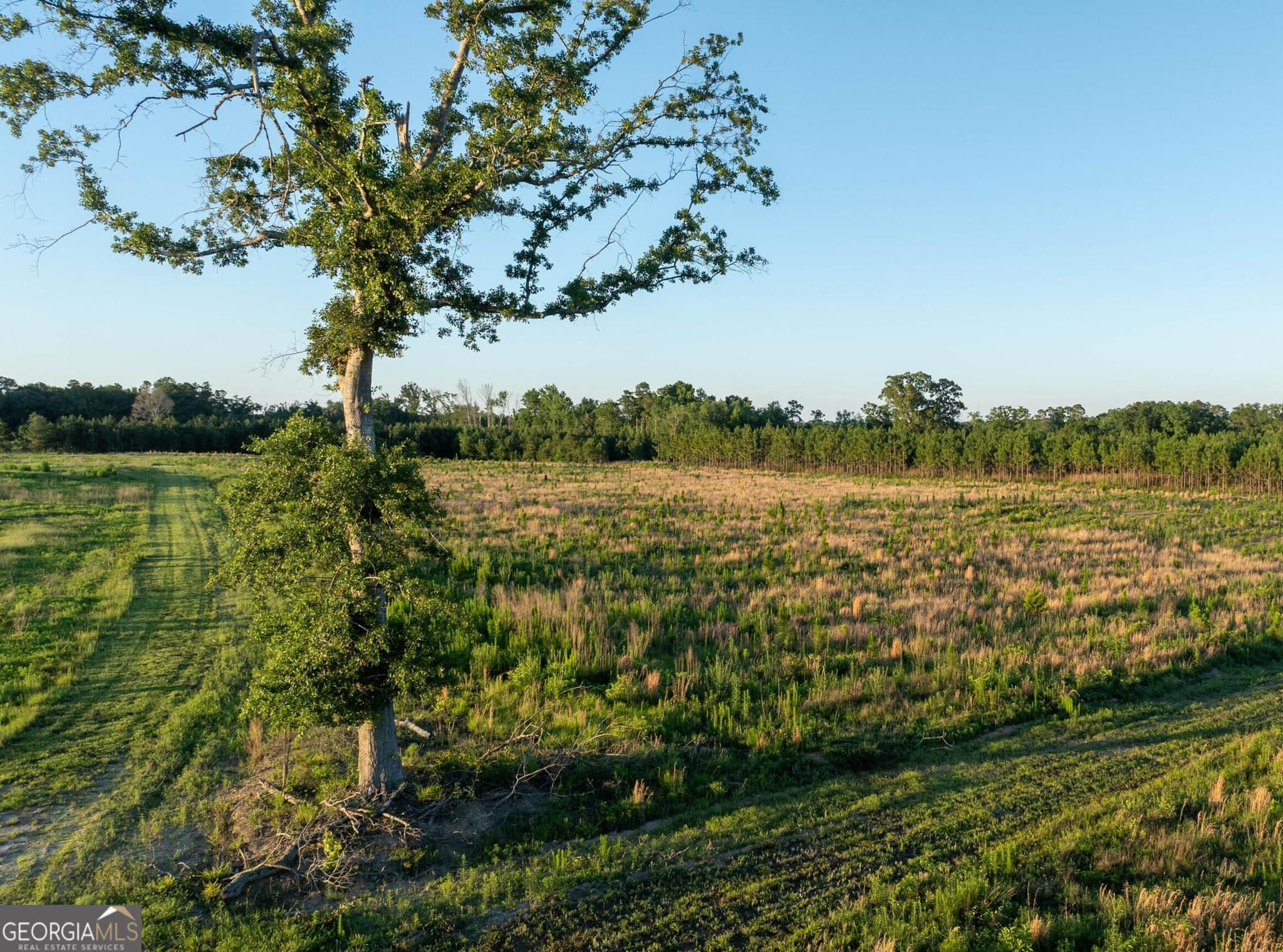 agriculture for sale at 005 Beulah Road TRACT 5, Sylvania, GA 30467 — photo 3