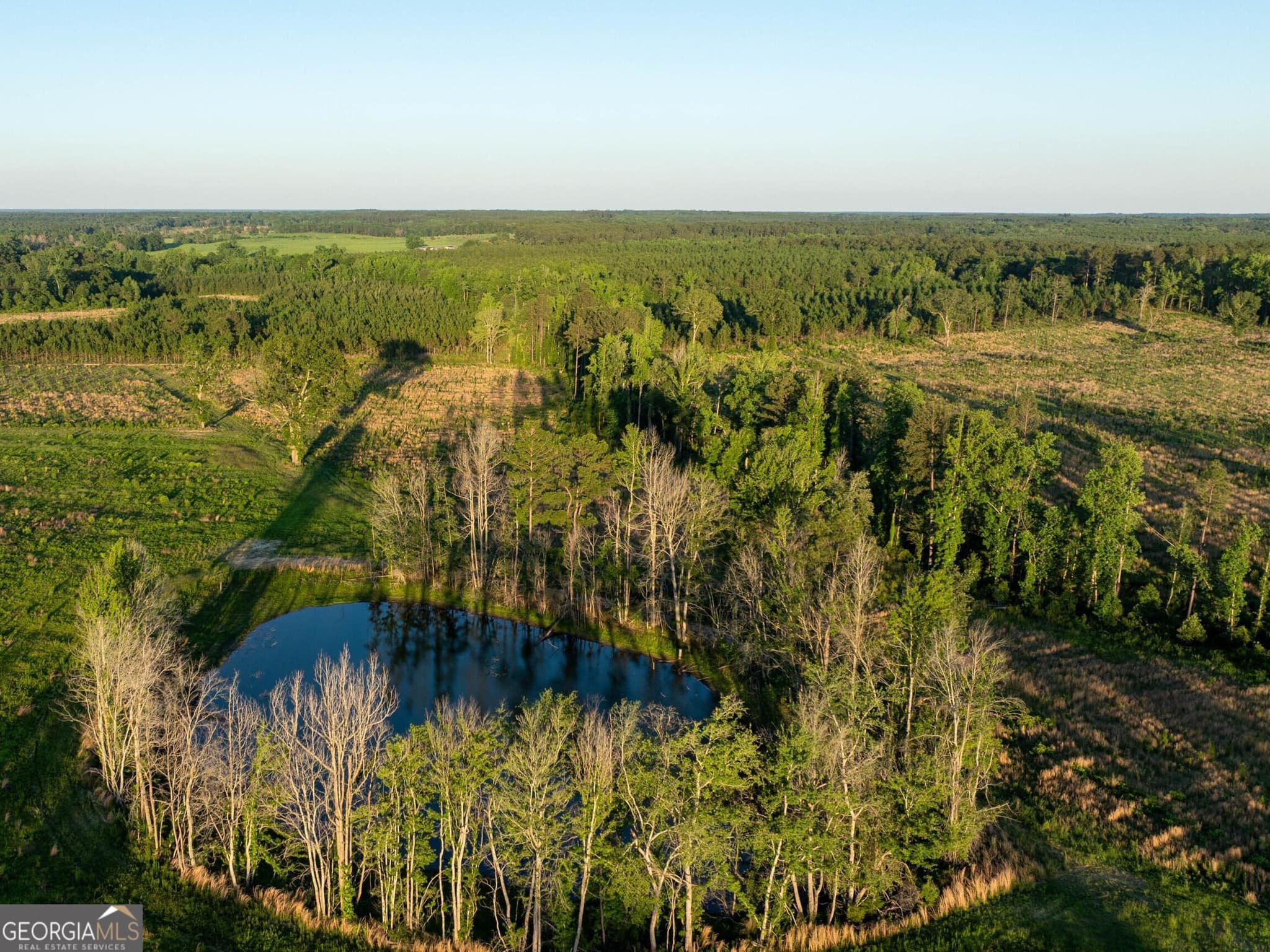 agriculture for sale at 005 Beulah Road TRACT 5, Sylvania, GA 30467