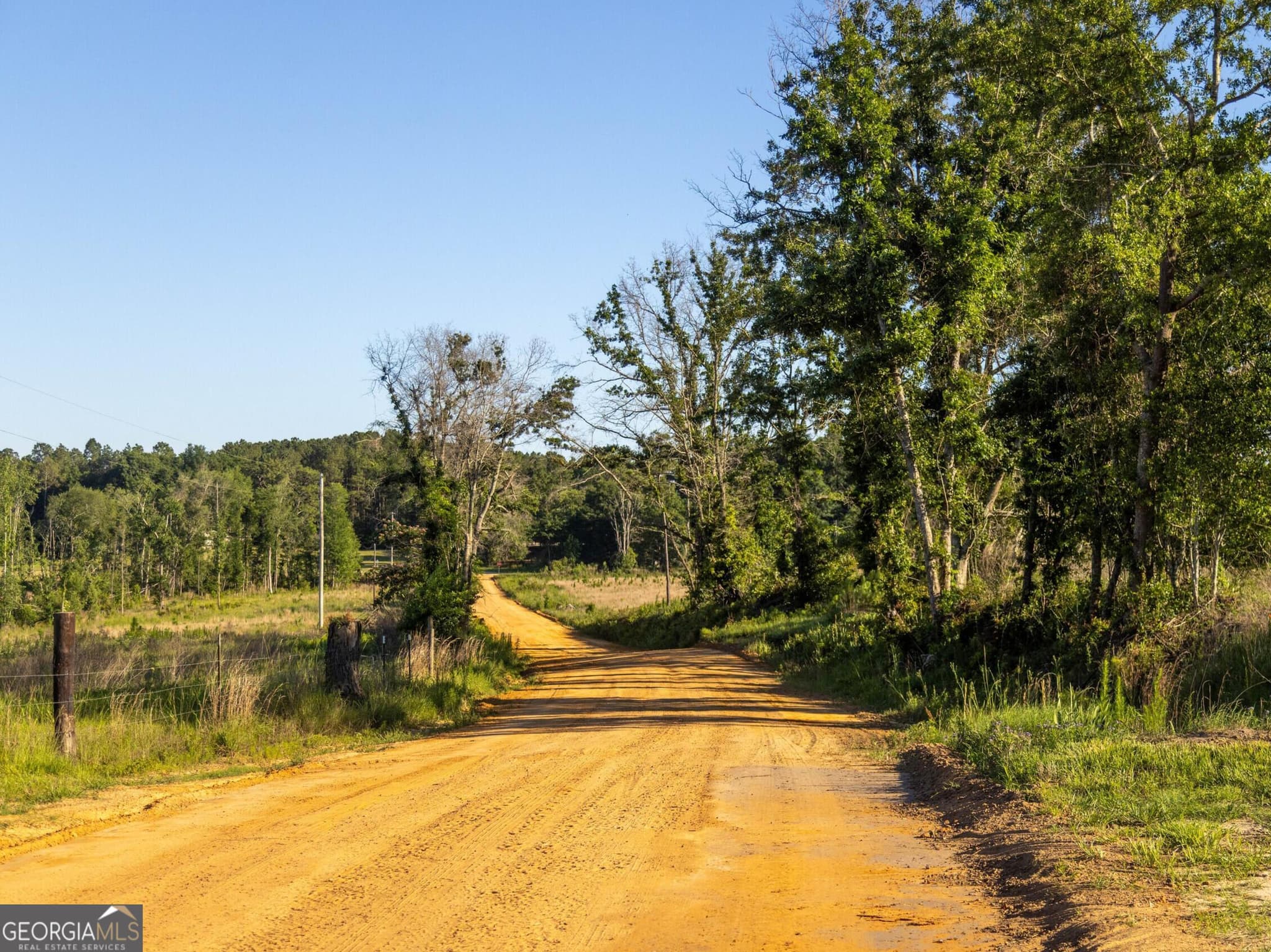 agriculture for sale at 005 Beulah Road TRACT 5, Sylvania, GA 30467 — photo 9