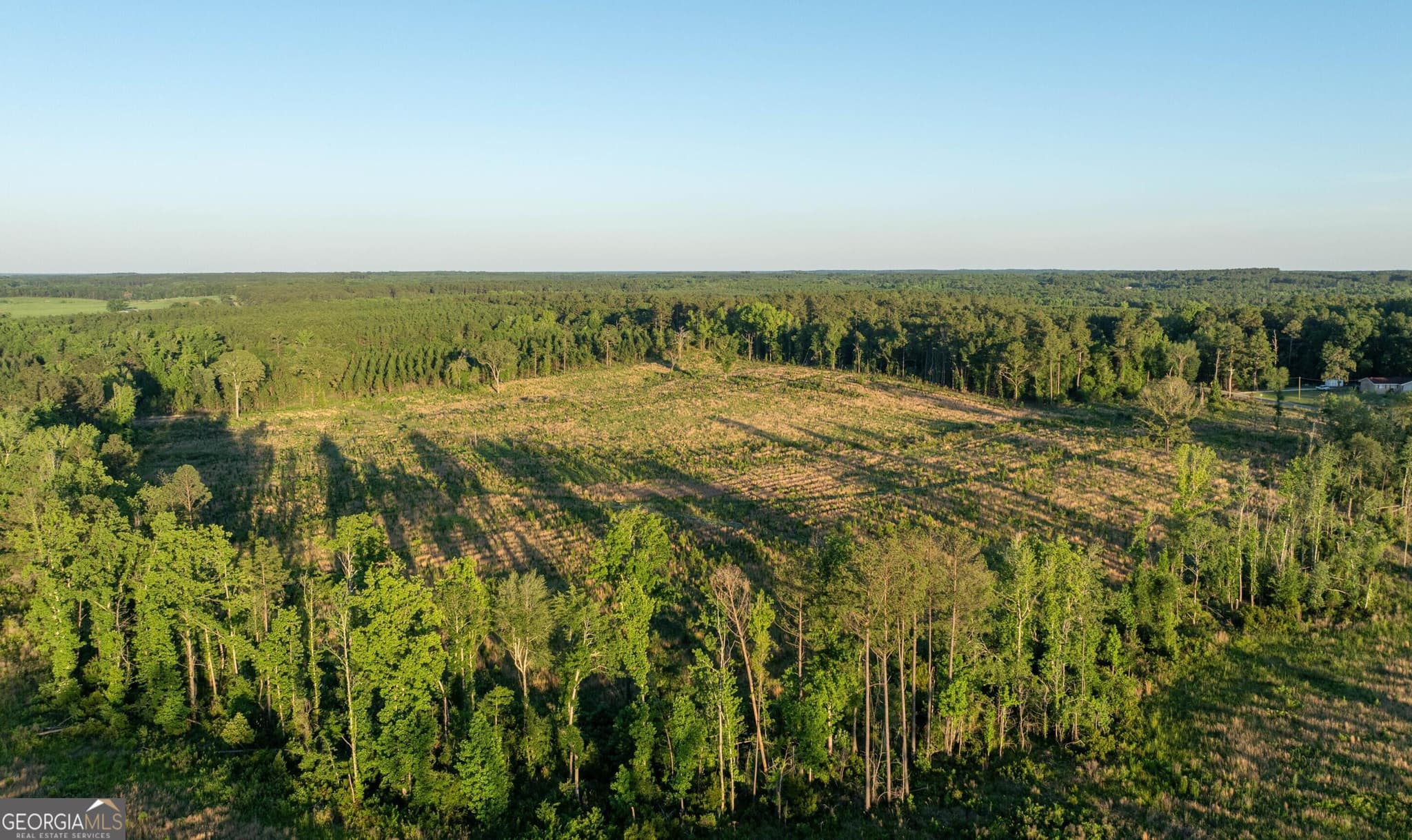 agriculture for sale at 005 Beulah Road TRACT 5, Sylvania, GA 30467 — photo 10
