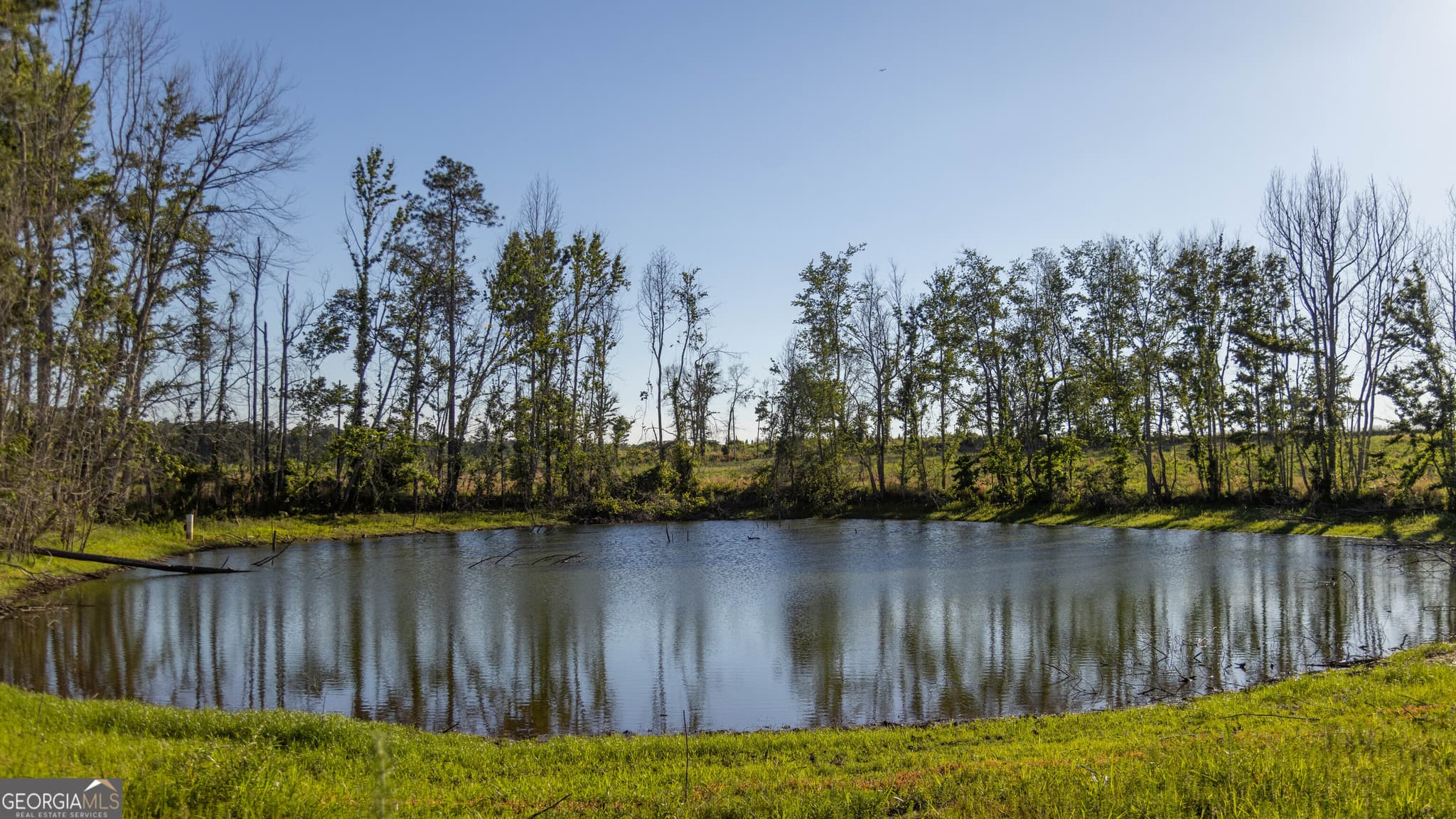 agriculture for sale at 005 Beulah Road TRACT 5, Sylvania, GA 30467 — photo 4