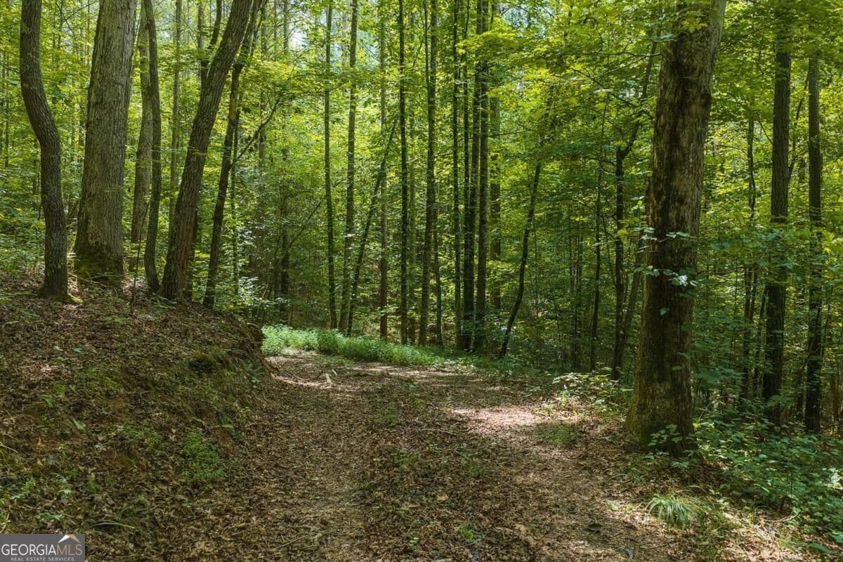 unimproved land for sale at 300 Sumac Lane 53, Ellijay, GA 30540 — photo 2