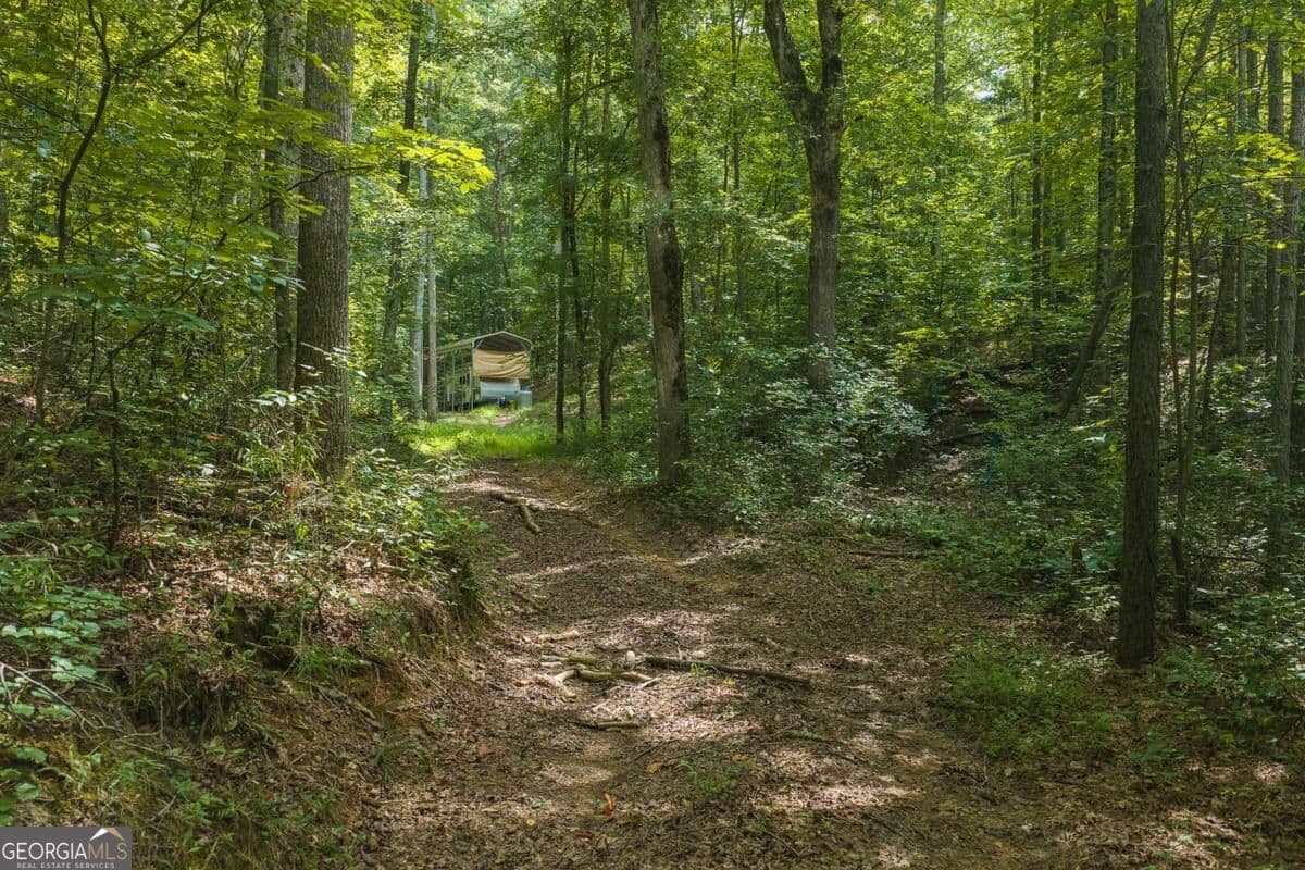 unimproved land for sale at 300 Sumac Lane 53, Ellijay, GA 30540 — photo 6