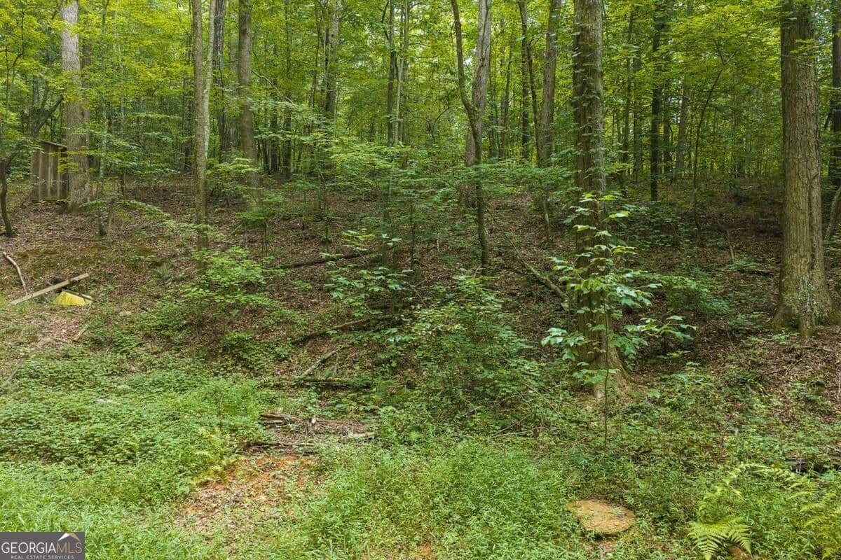 unimproved land for sale at 300 Sumac Lane 53, Ellijay, GA 30540 — photo 7