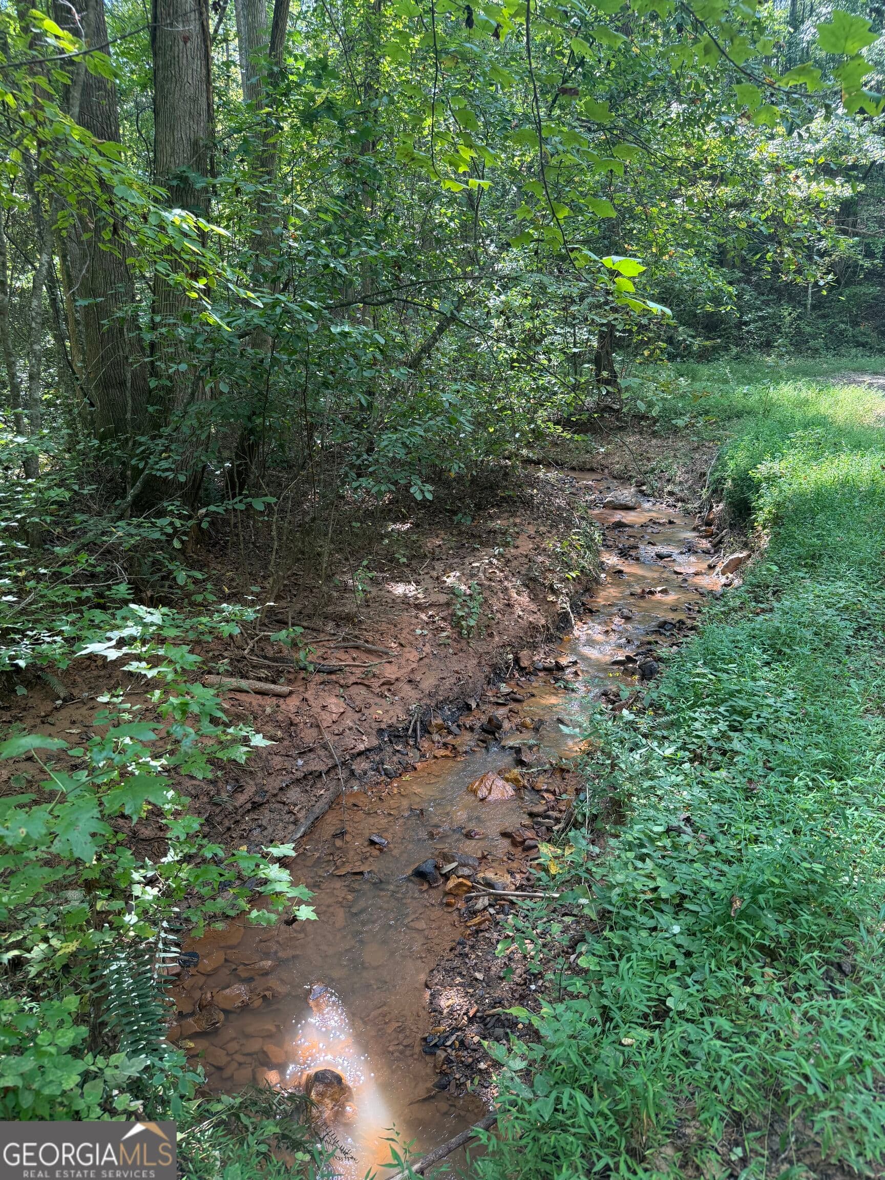unimproved land for sale at 300 Sumac Lane 53, Ellijay, GA 30540 — photo 1 of 15