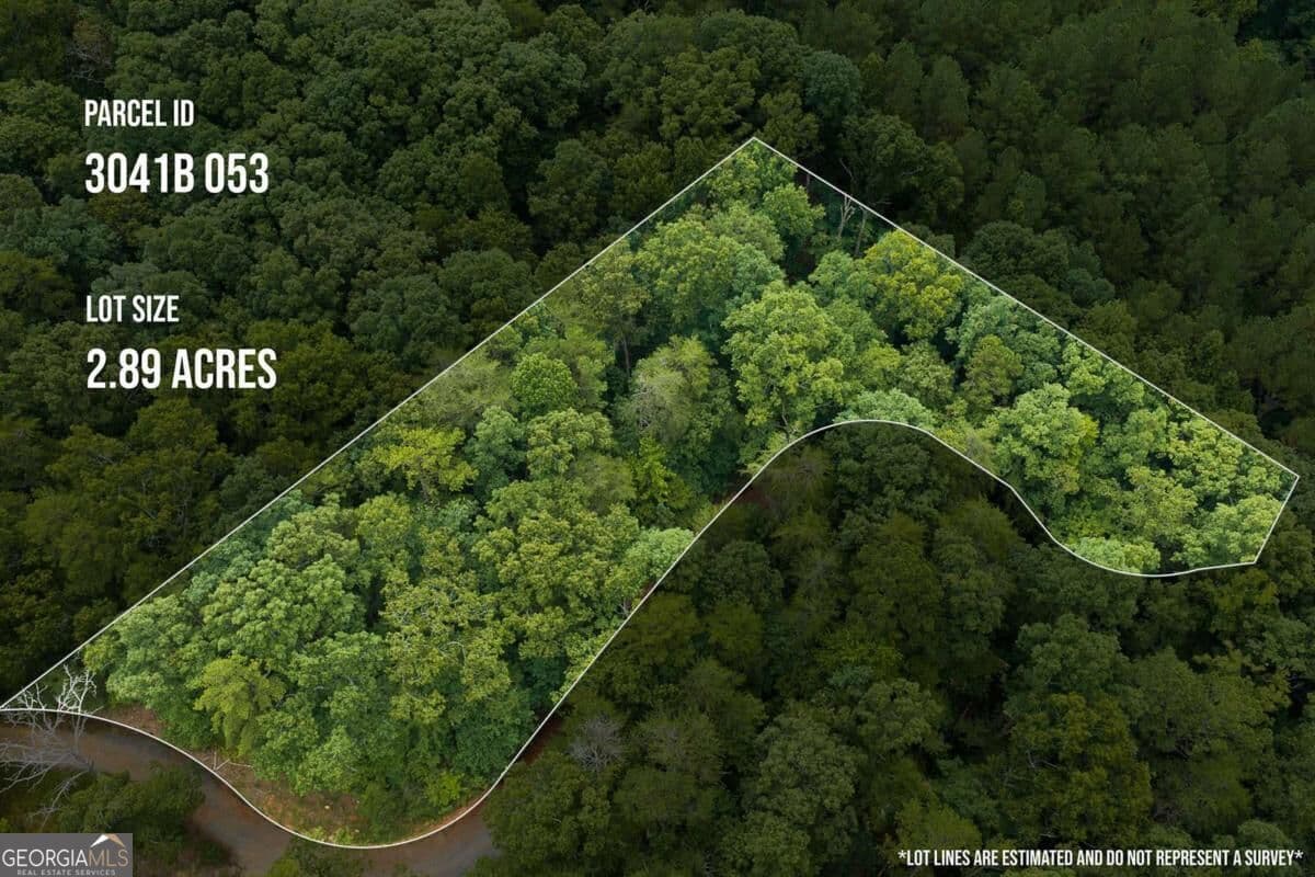 unimproved land for sale at 300 Sumac Lane 53, Ellijay, GA 30540 — photo 5