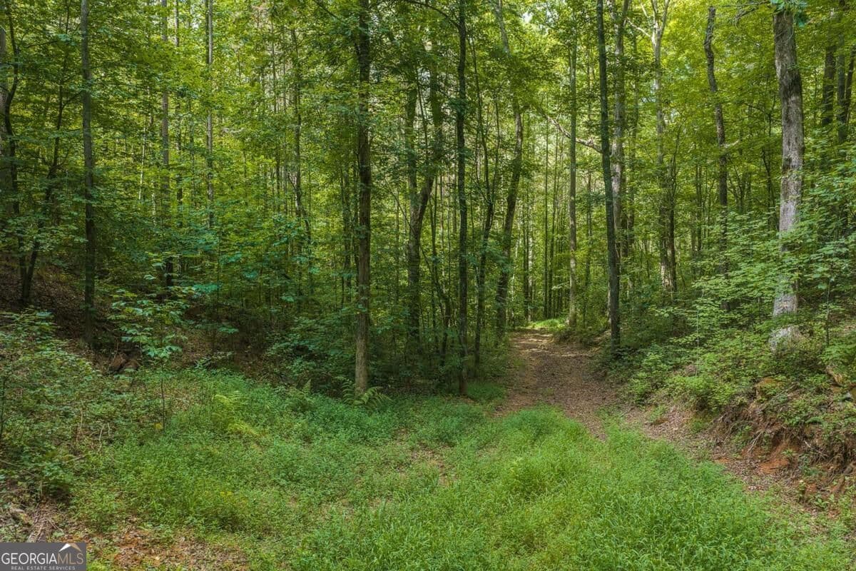 unimproved land for sale at 300 Sumac Lane 53, Ellijay, GA 30540 — photo 9