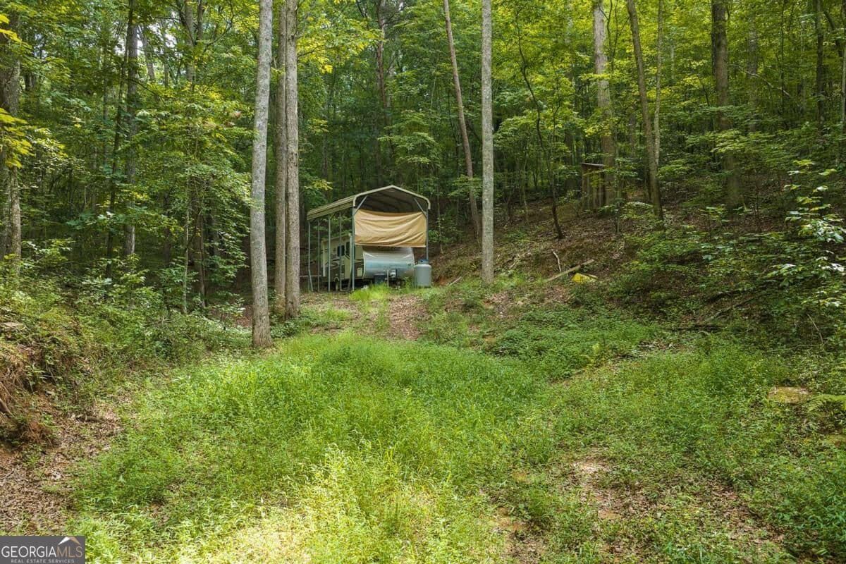 unimproved land for sale at 300 Sumac Lane 53, Ellijay, GA 30540 — photo 8
