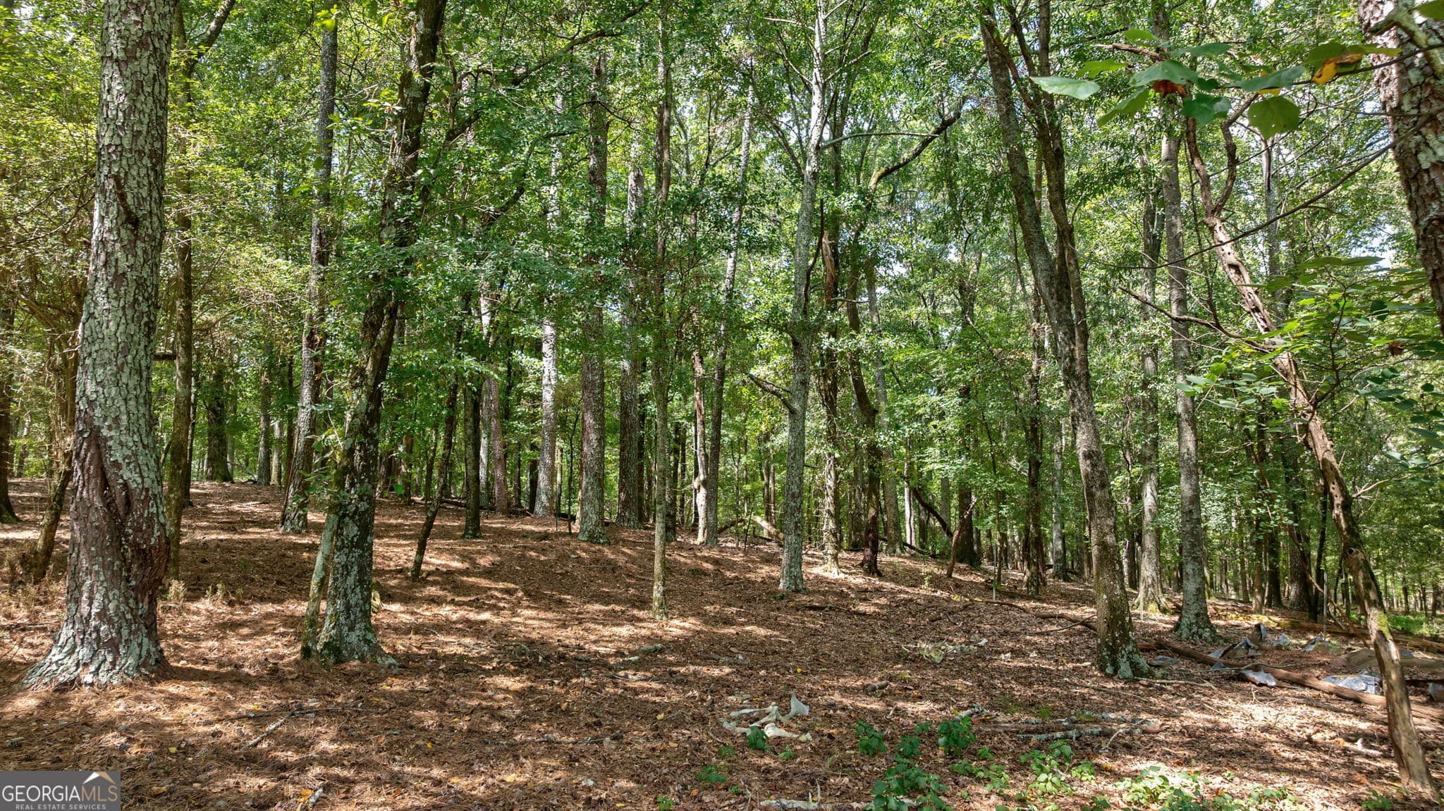 estate lot for sale at 0 Middlebrooks Road, Watkinsville, GA 30677 — photo 2