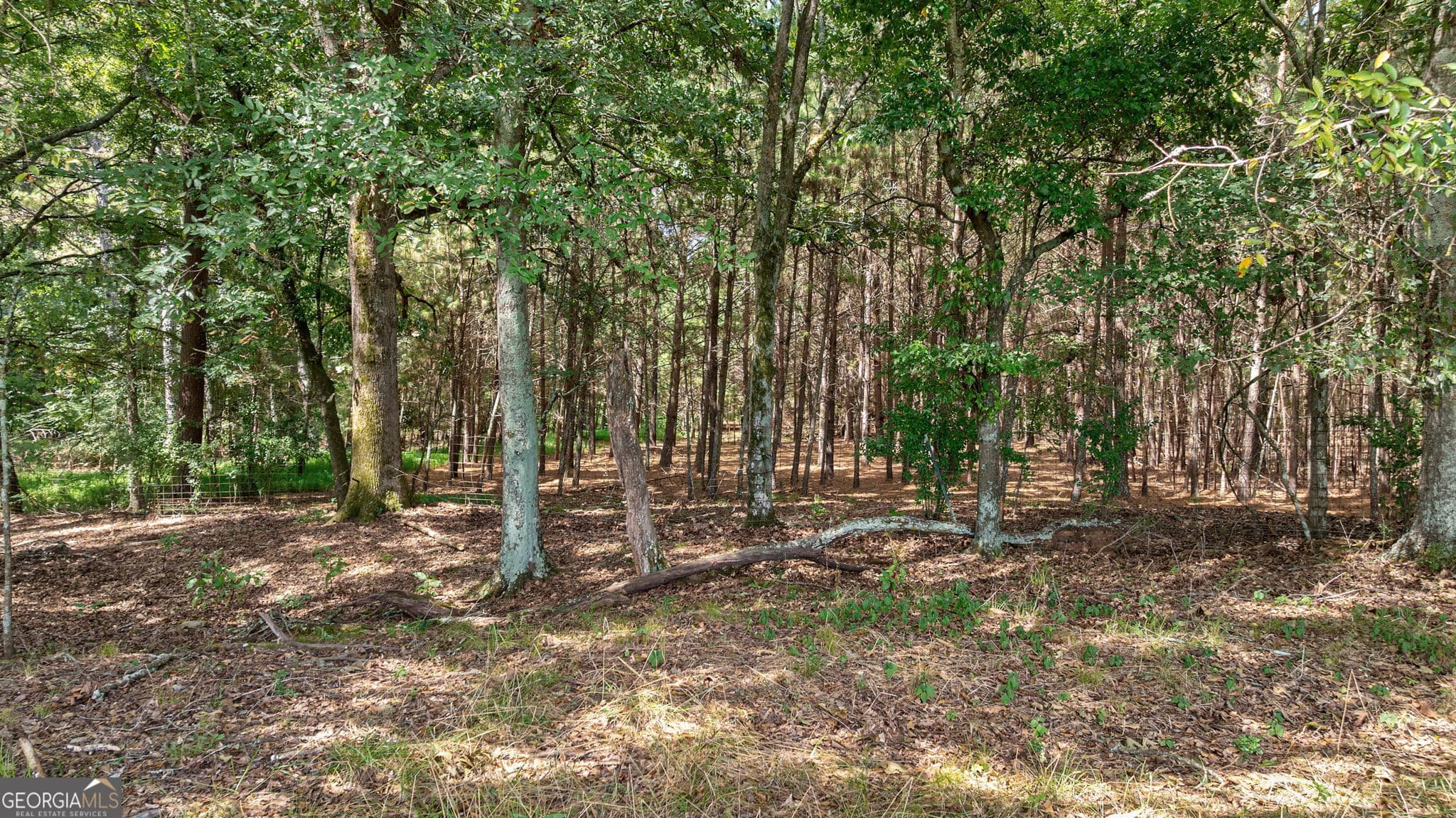 estate lot for sale at 0 Middlebrooks Road, Watkinsville, GA 30677 — photo 6