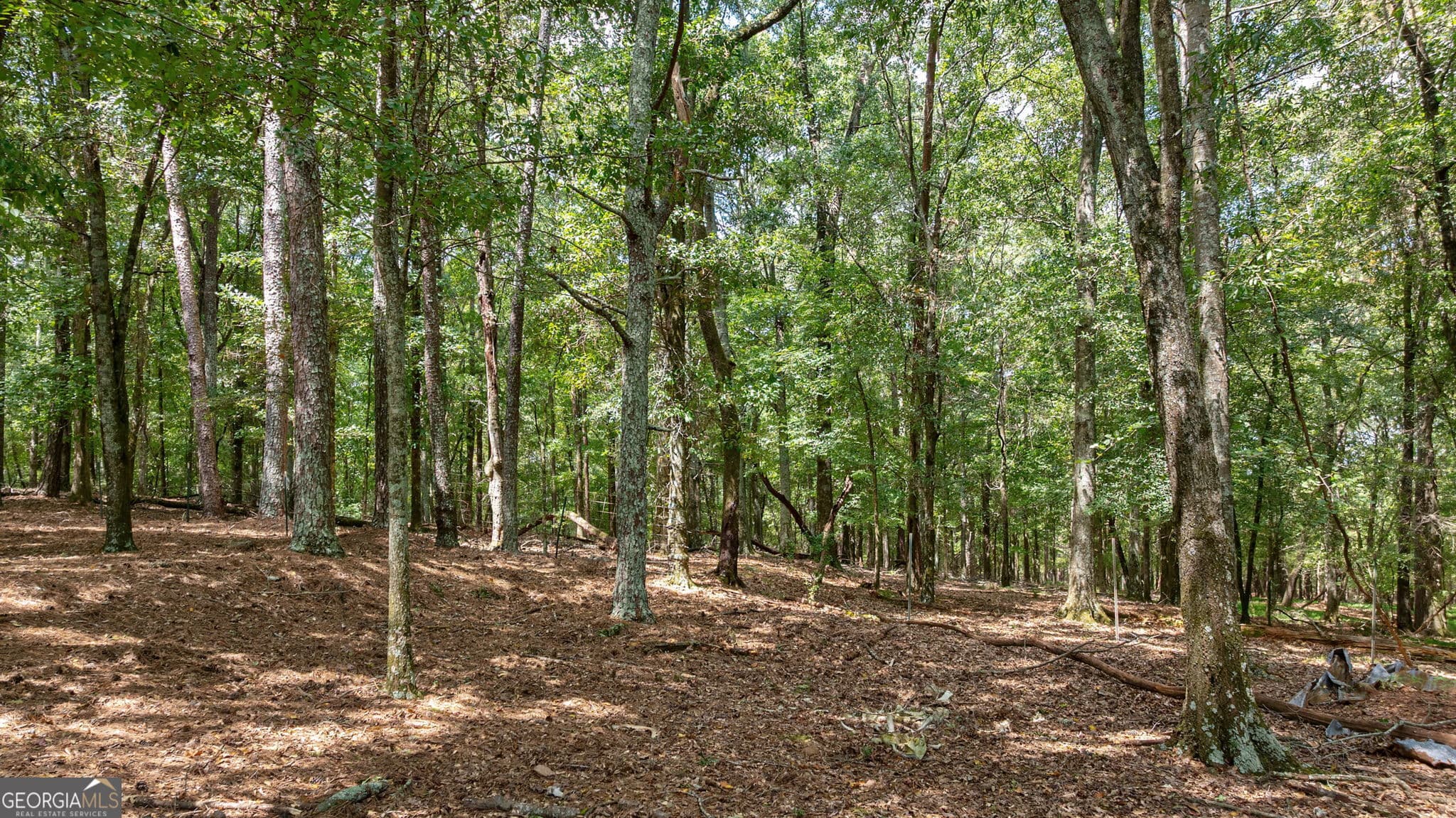 estate lot for sale at 0 Middlebrooks Road, Watkinsville, GA 30677 — photo 1 of 6