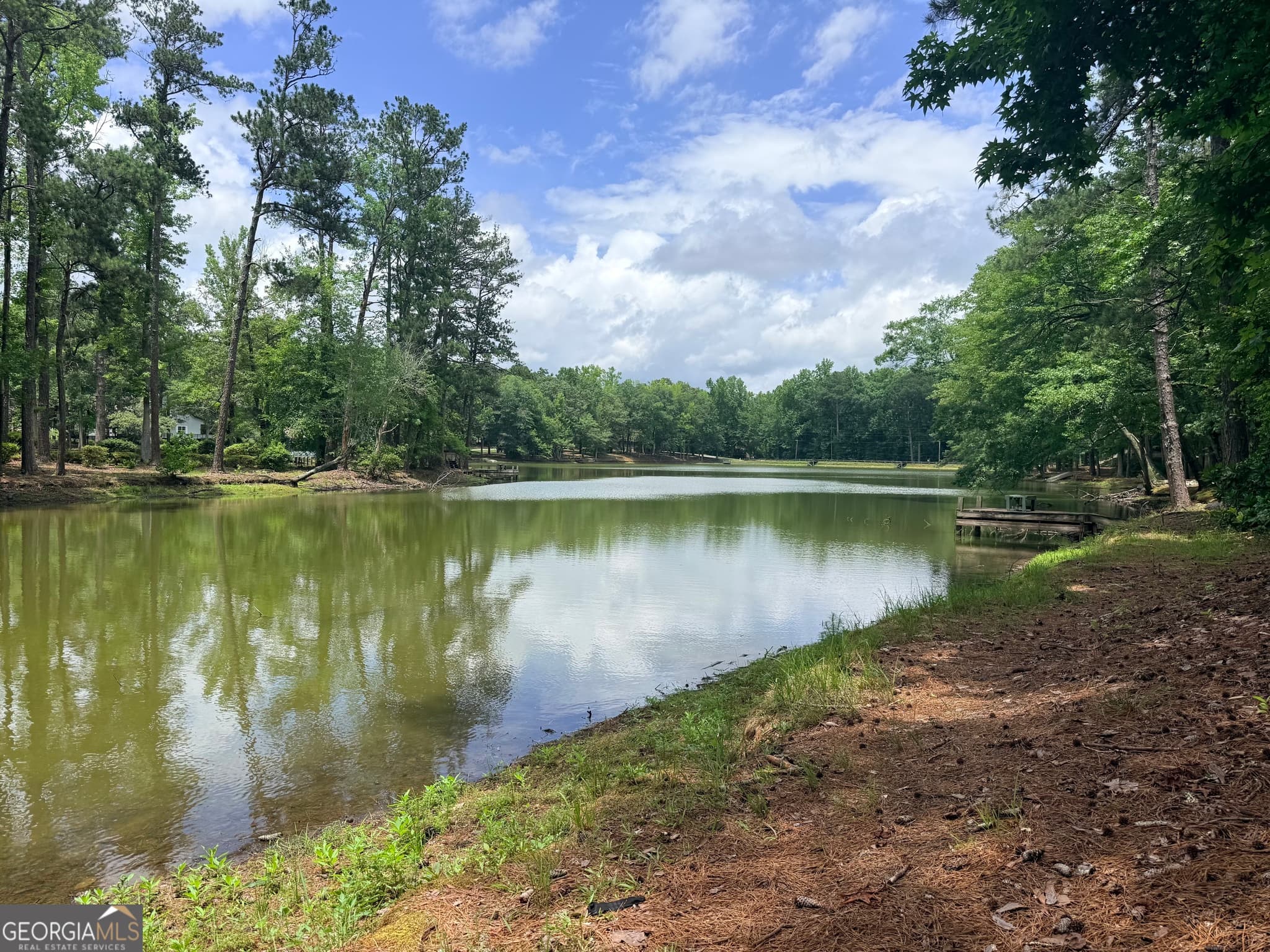 4 bedroom, 2 bathroom, 1,632 sq ft cabin,single family residence for sale at 75 Alpine Drive, Pine Mountain, GA 31822 — photo 6