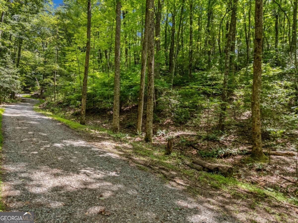 residential lot for sale at 0 Jagger Run, Blue Ridge, GA 30513 — photo 2
