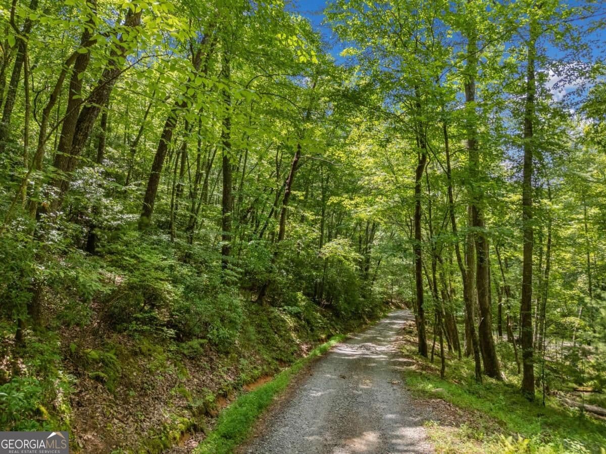 residential lot for sale at 0 Jagger Run, Blue Ridge, GA 30513 — photo 6