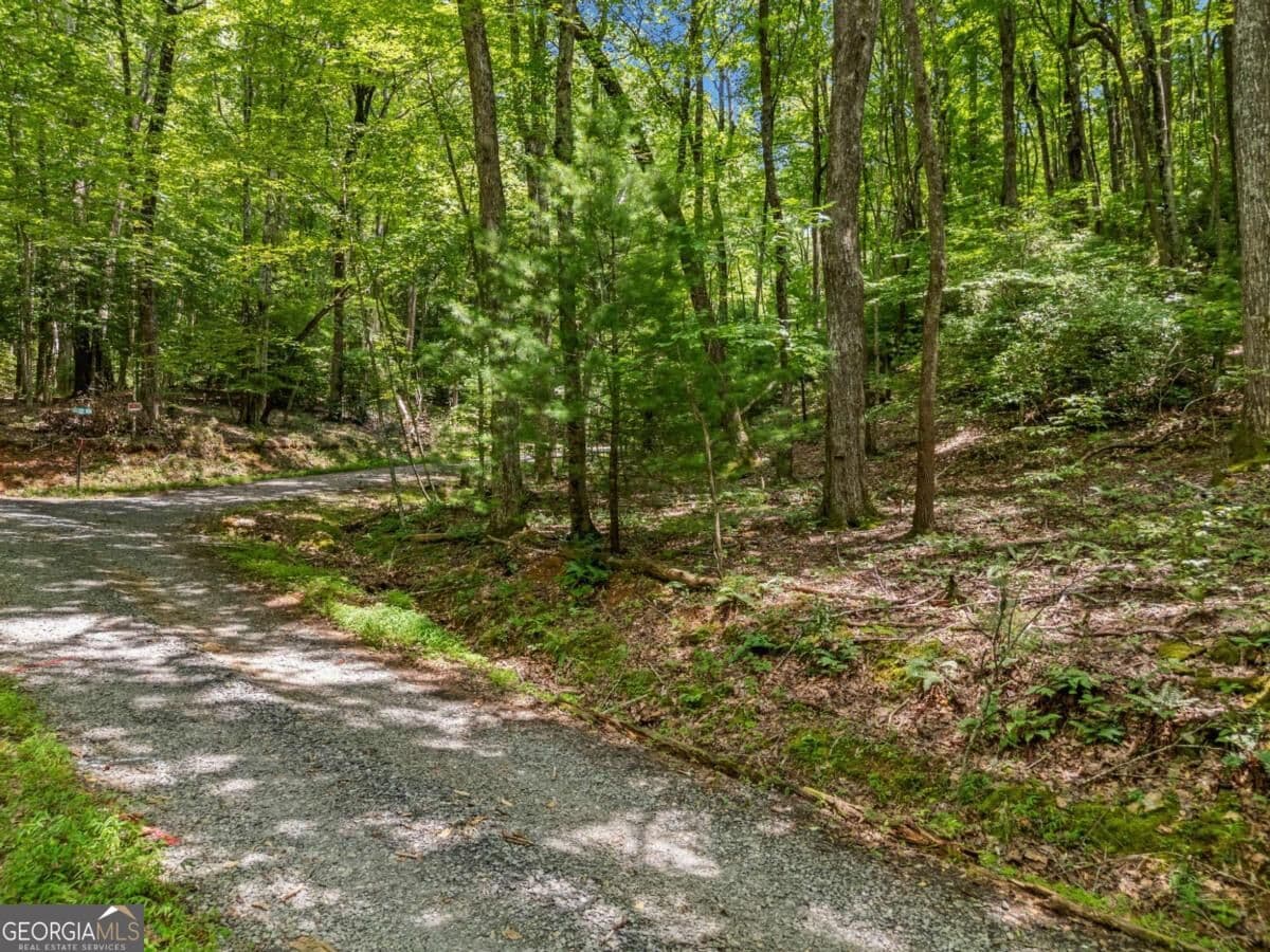 residential lot for sale at 0 Jagger Run, Blue Ridge, GA 30513 — photo 7