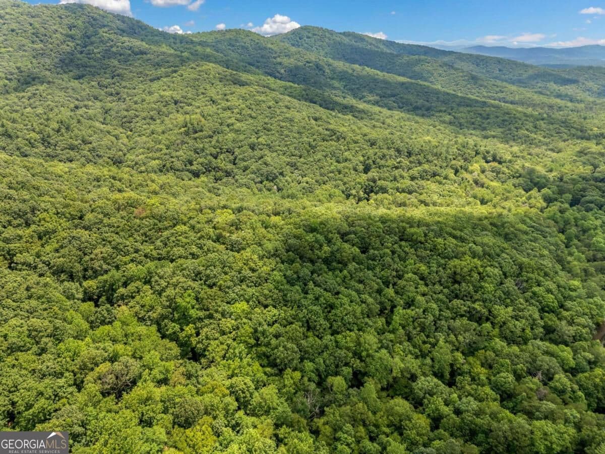residential lot for sale at 0 Jagger Run, Blue Ridge, GA 30513 — photo 8