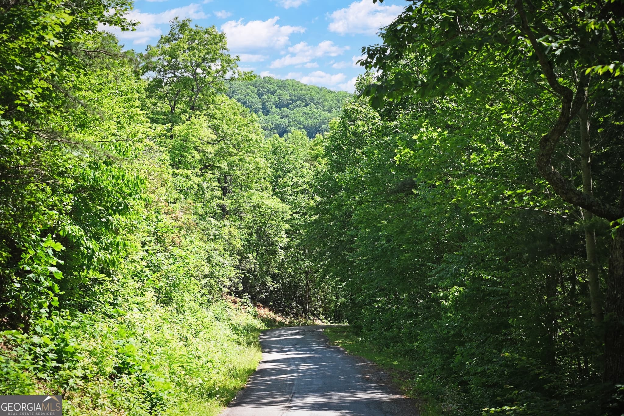 residential lot for sale at LOT 3 The Ridges, Hiawassee, GA 30546 — photo 6