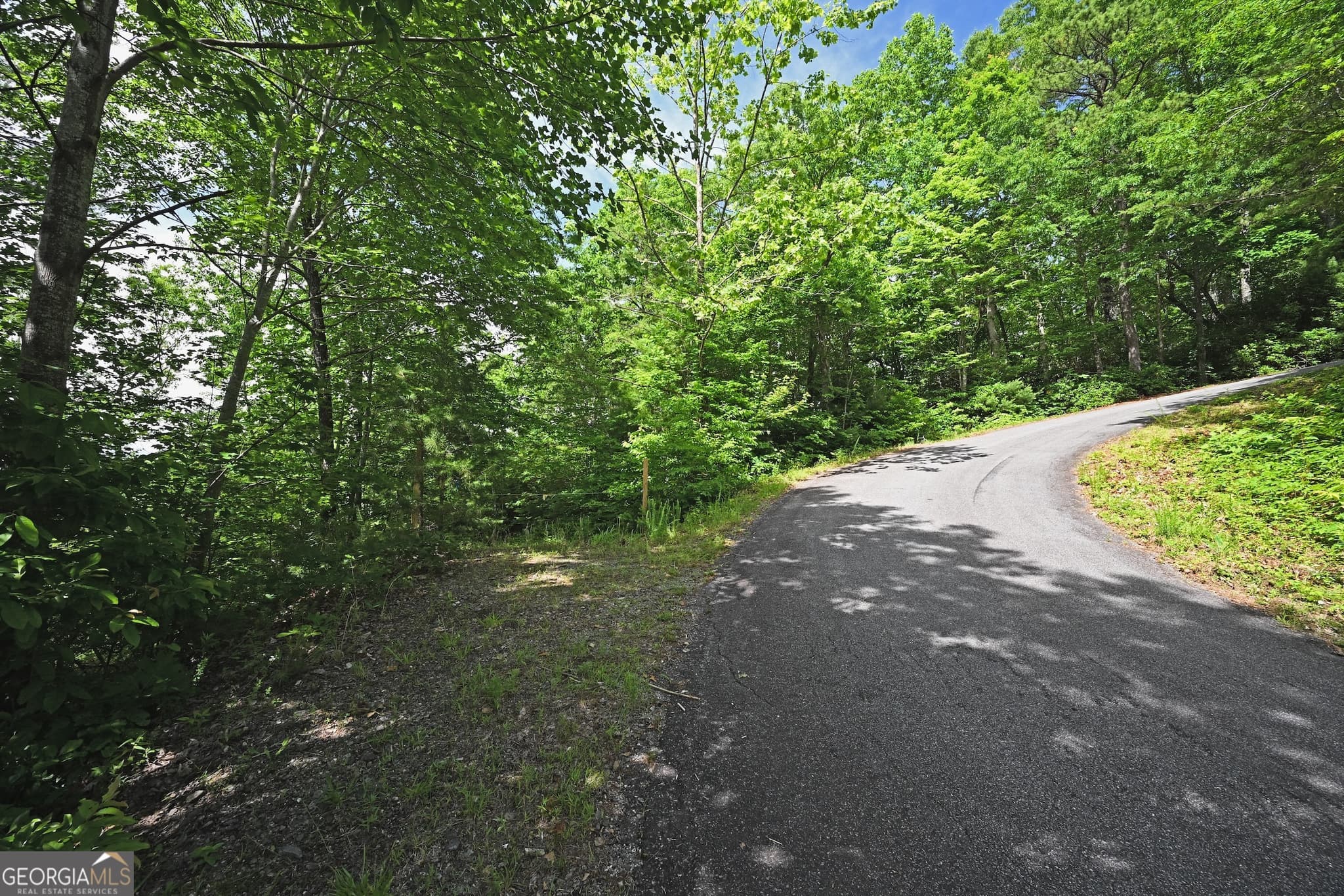 residential lot for sale at LOT 3 The Ridges, Hiawassee, GA 30546 — photo 7